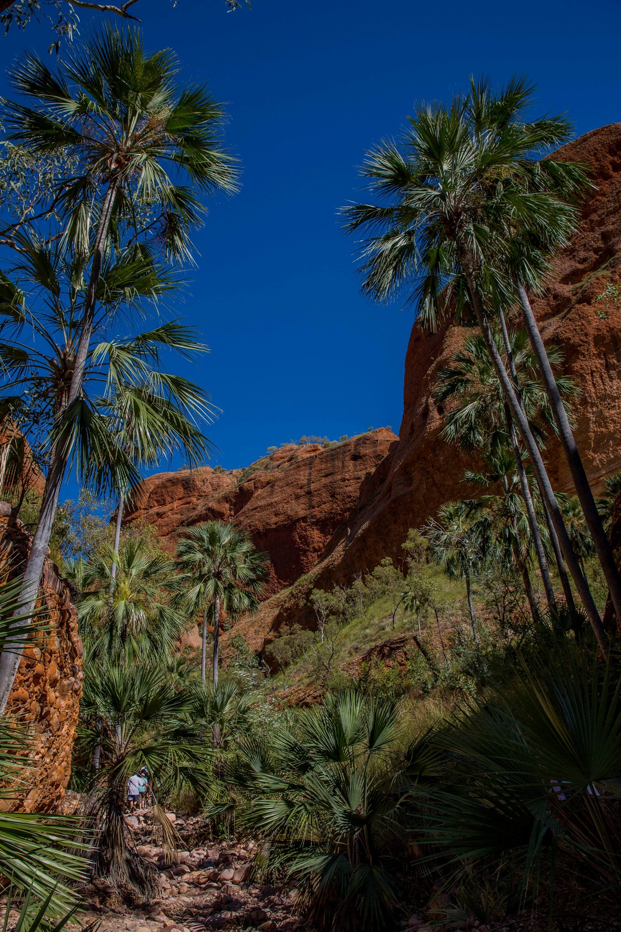 Echidna Chasm,Kimberley,377,-.JPG