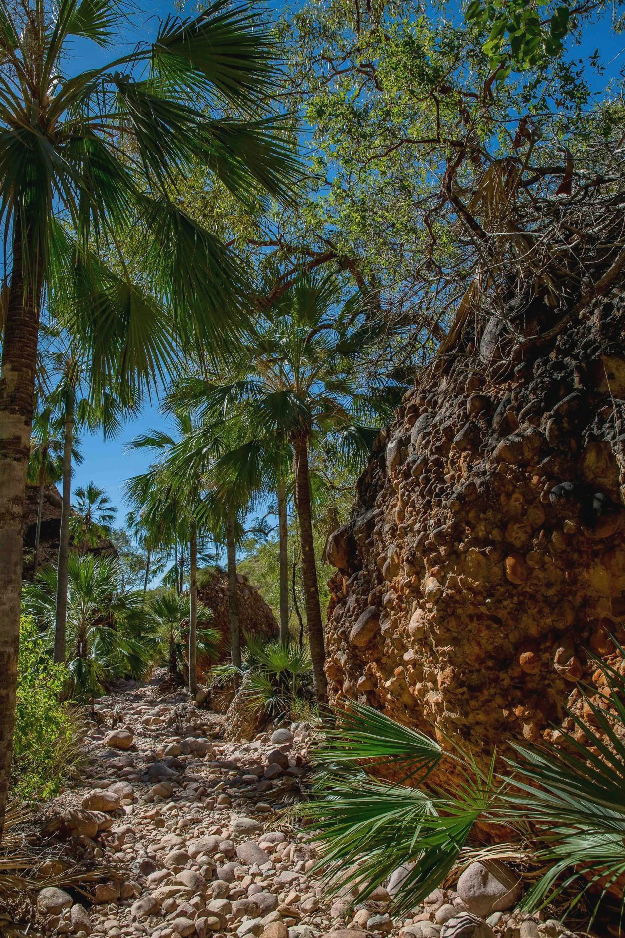 Echidna Chasm,Kimberley,379,-.JPG