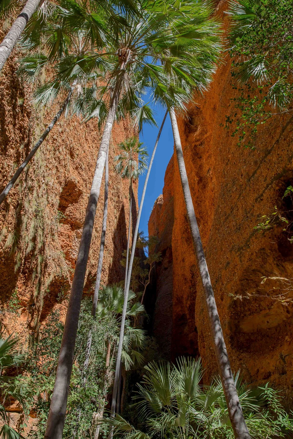 Echidna Chasm,Kimberley,384,-.JPG