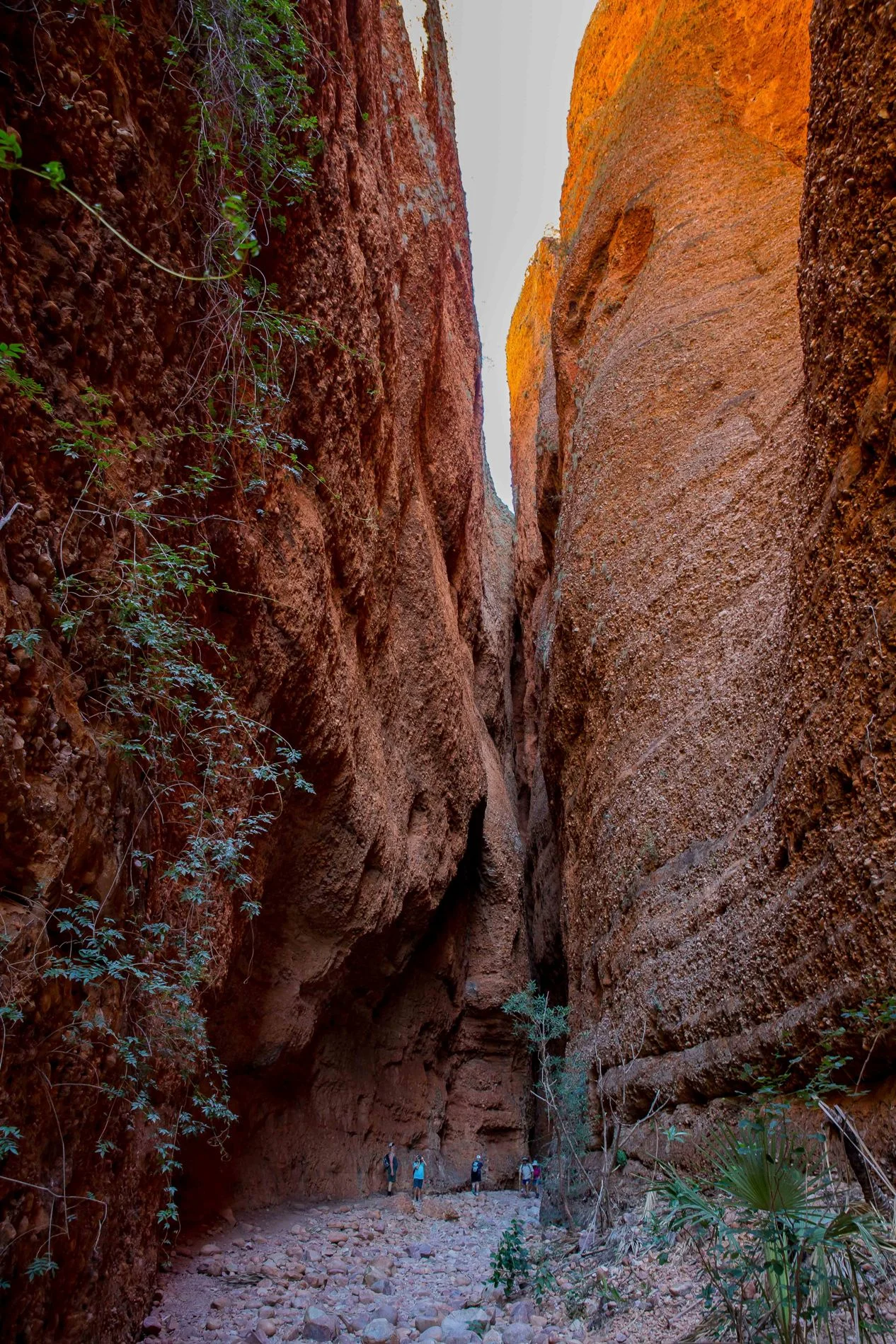 Echidna Chasm,Kimberley,386,-.JPG
