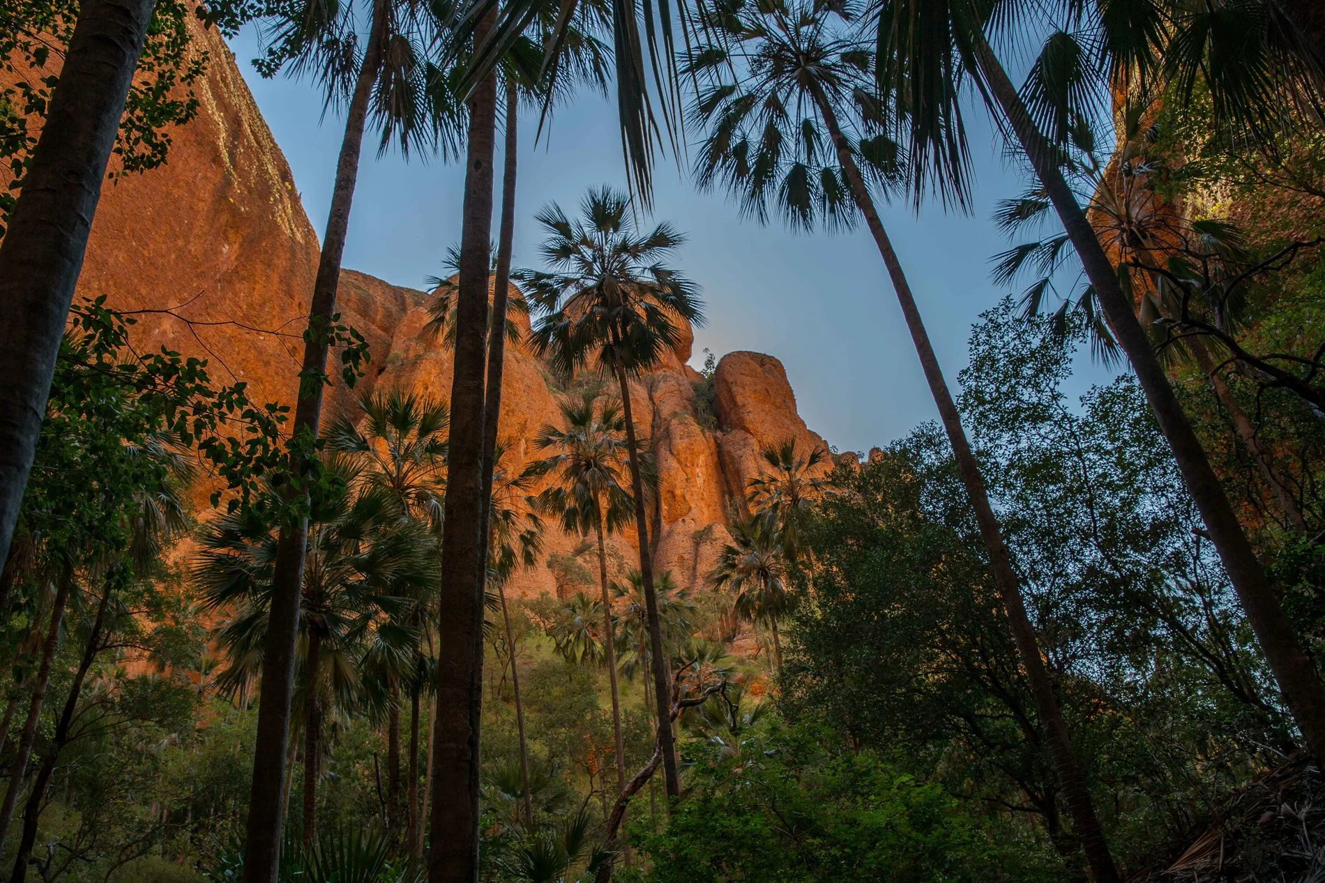 Echidna Chasm,Kimberley,406,-.JPG