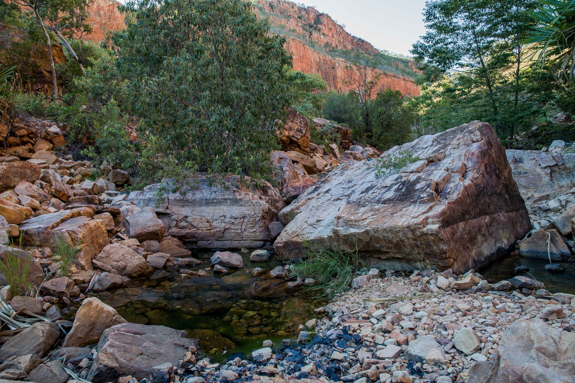 Emma Gorge,Kimberley,654,-.JPG