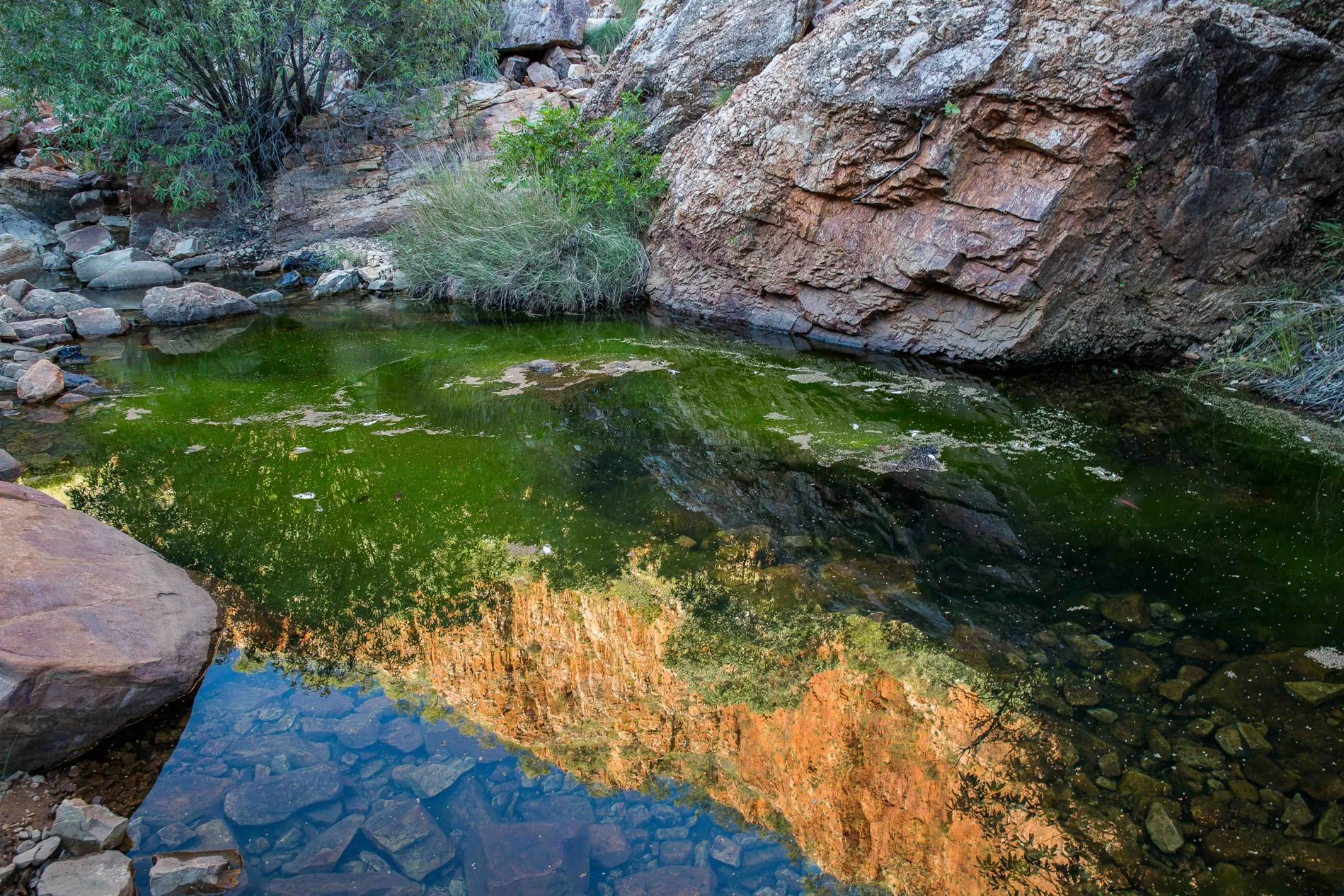 Emma Gorge,Kimberley,655,-.JPG