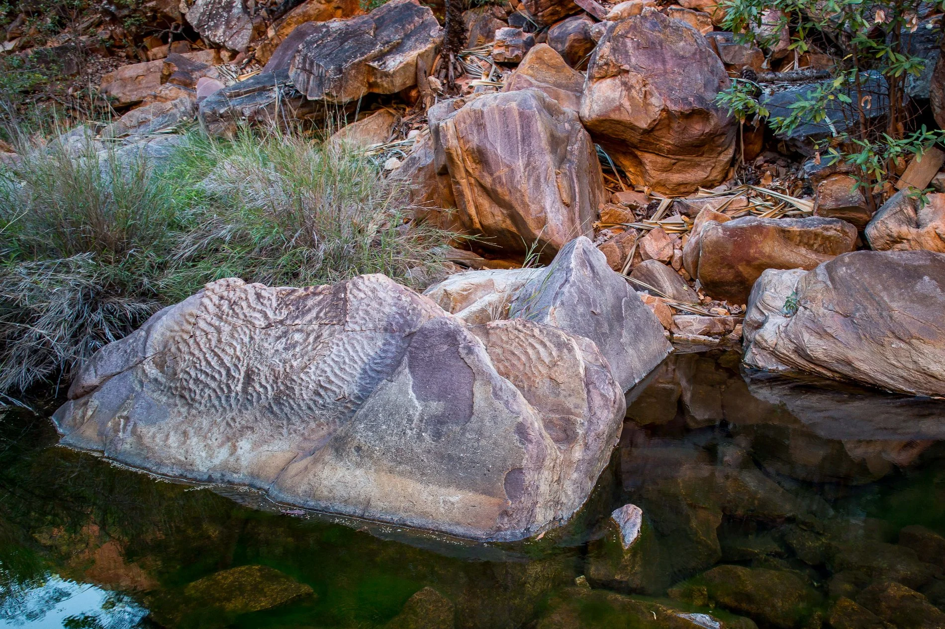 Emma Gorge,Kimberley,663,-.JPG