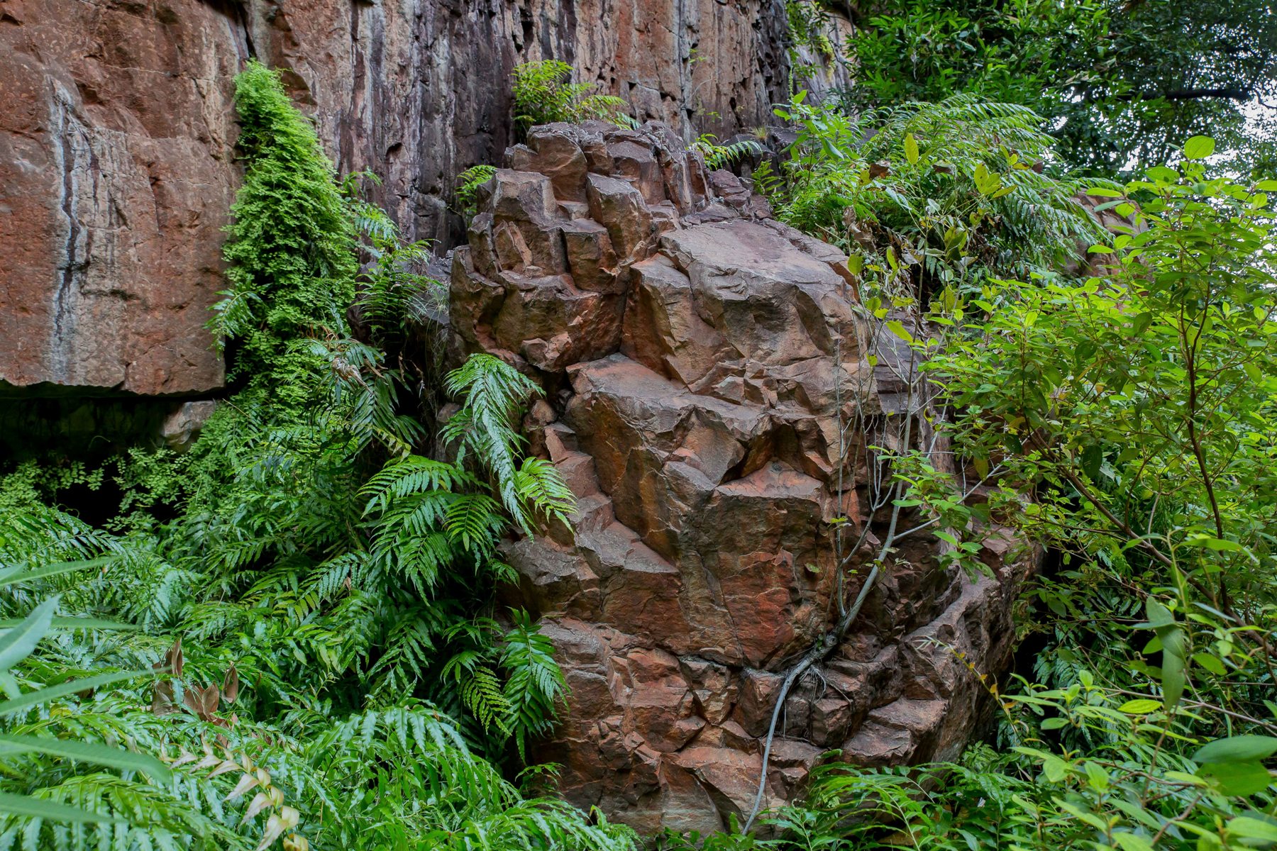 Emma Gorge,Kimberley,696,-.JPG