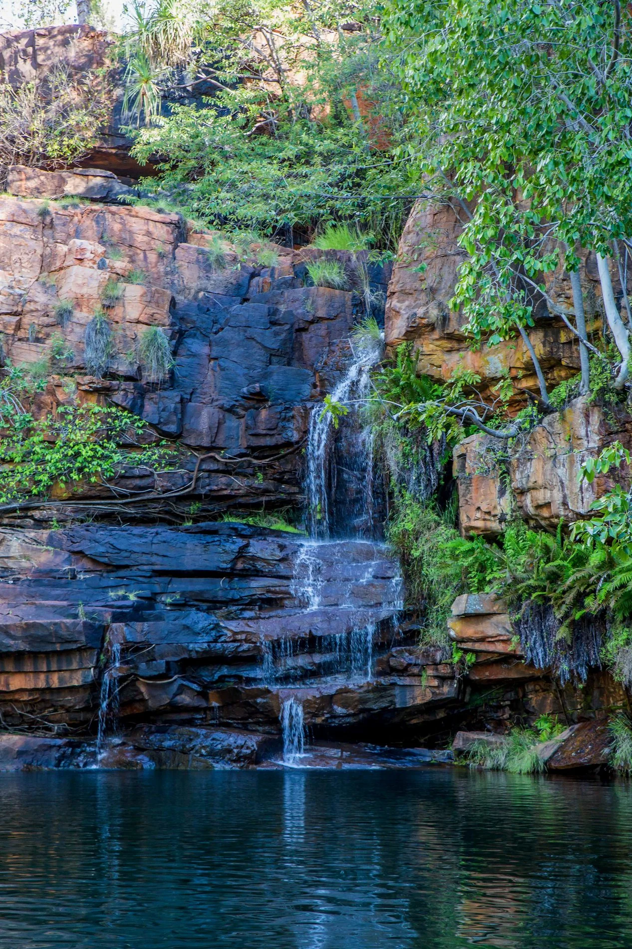 Galvin Gorge,Kimberley,1079,-.JPG