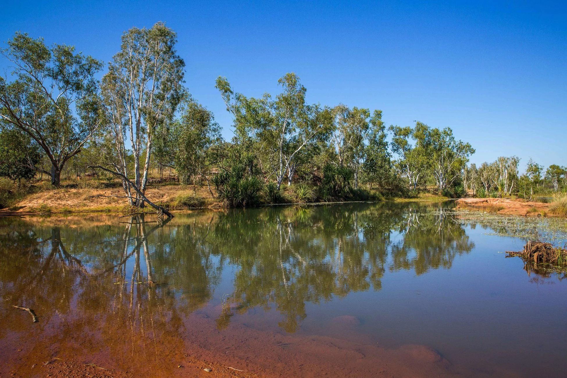Gibb River,Kimberley,1027,-.JPG
