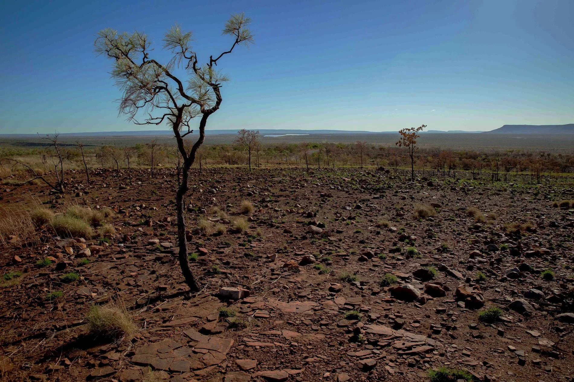 Home Valley Station,Kimberley,796,-.JPG