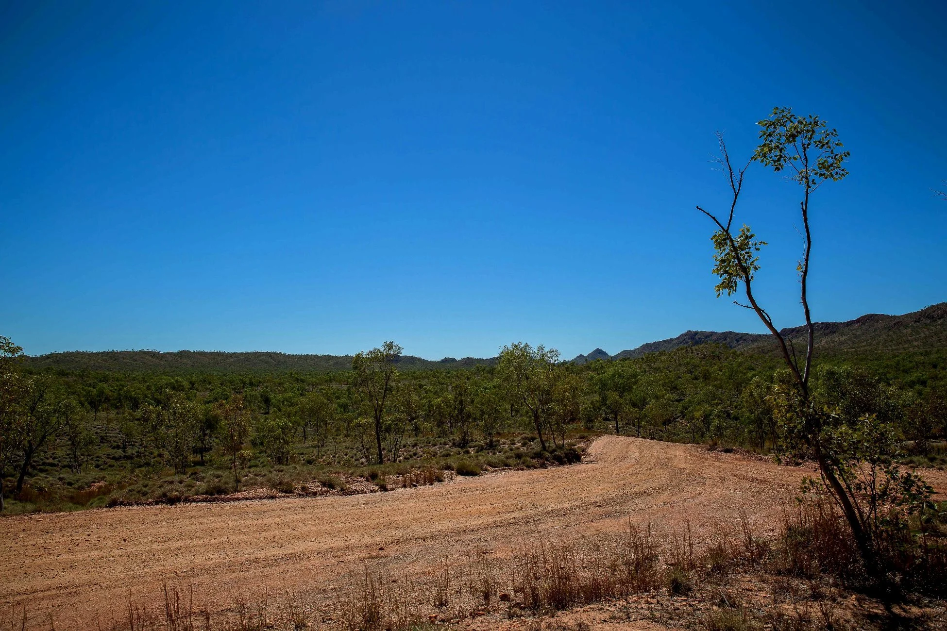 Mabel Downs Station,Kimberley,352,-.JPG