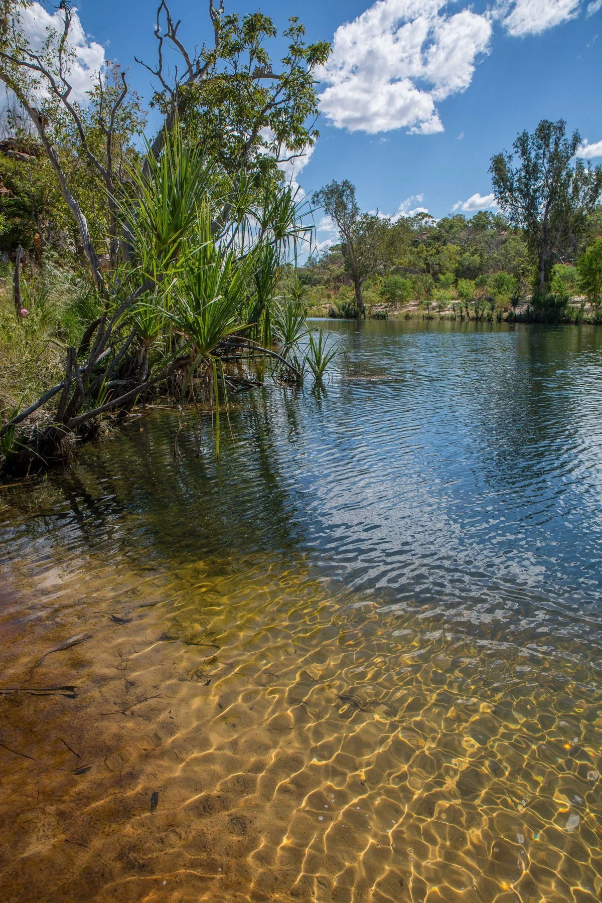 Manning Gorge,Kimberley,1043,-.JPG
