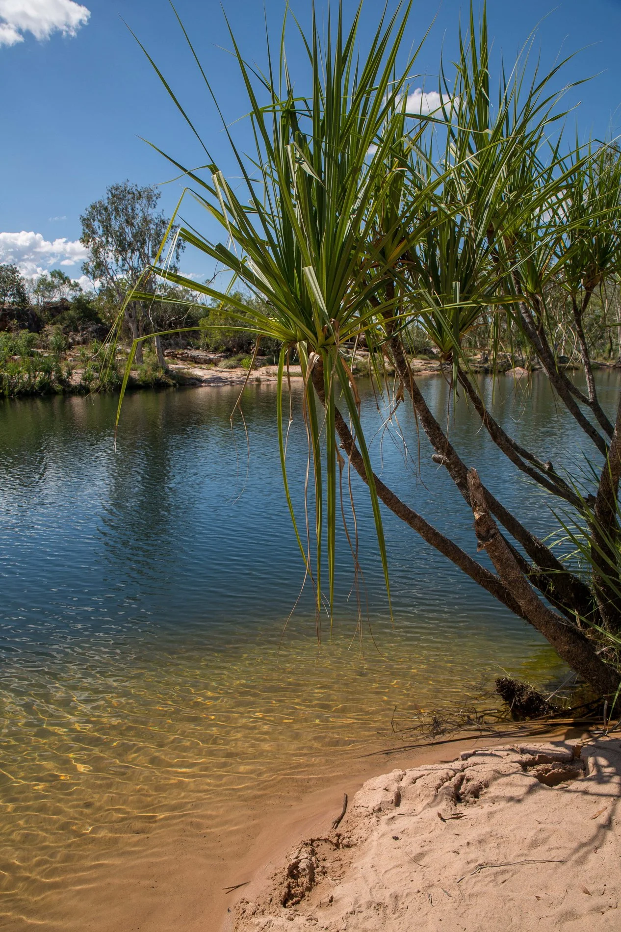 Manning Gorge,Kimberley,1045,-.JPG