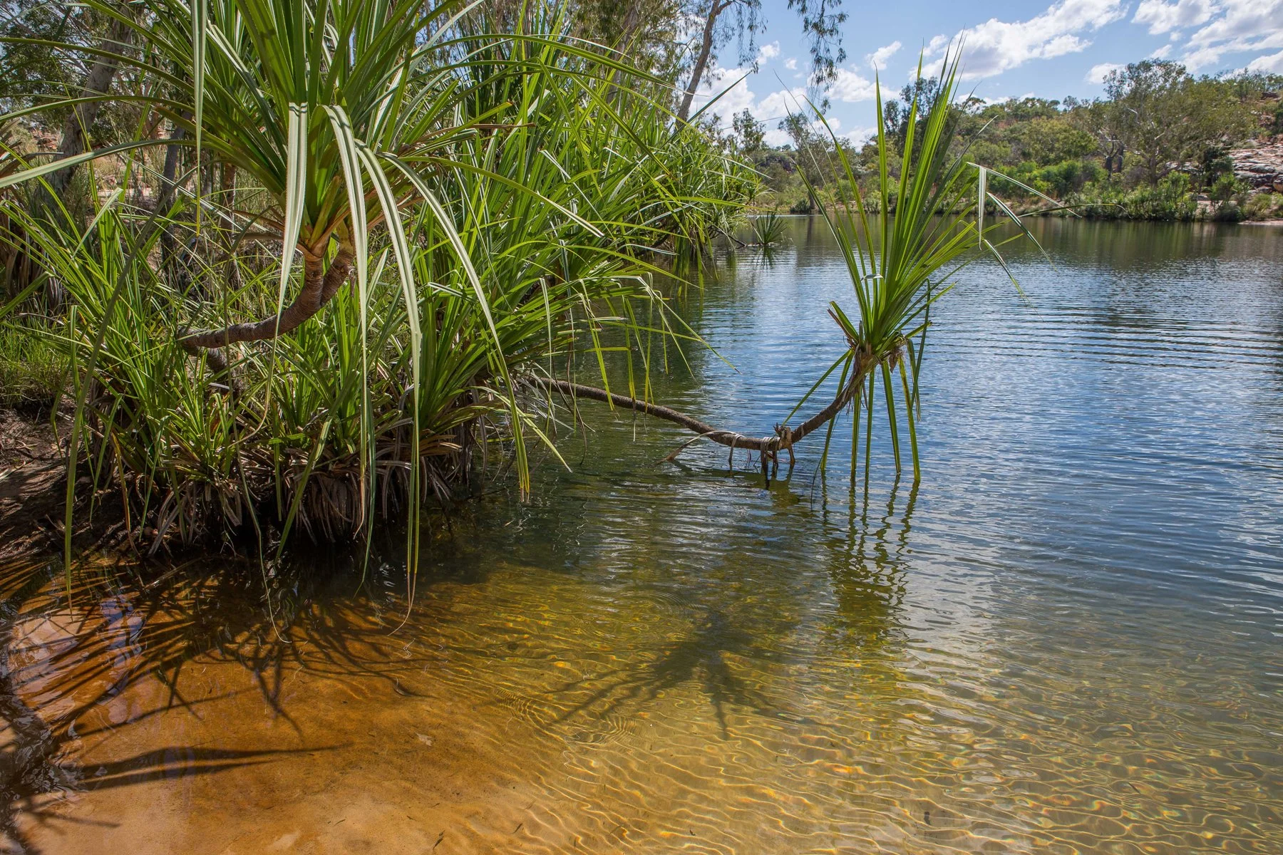 Manning Gorge,Kimberley,1058,-.JPG