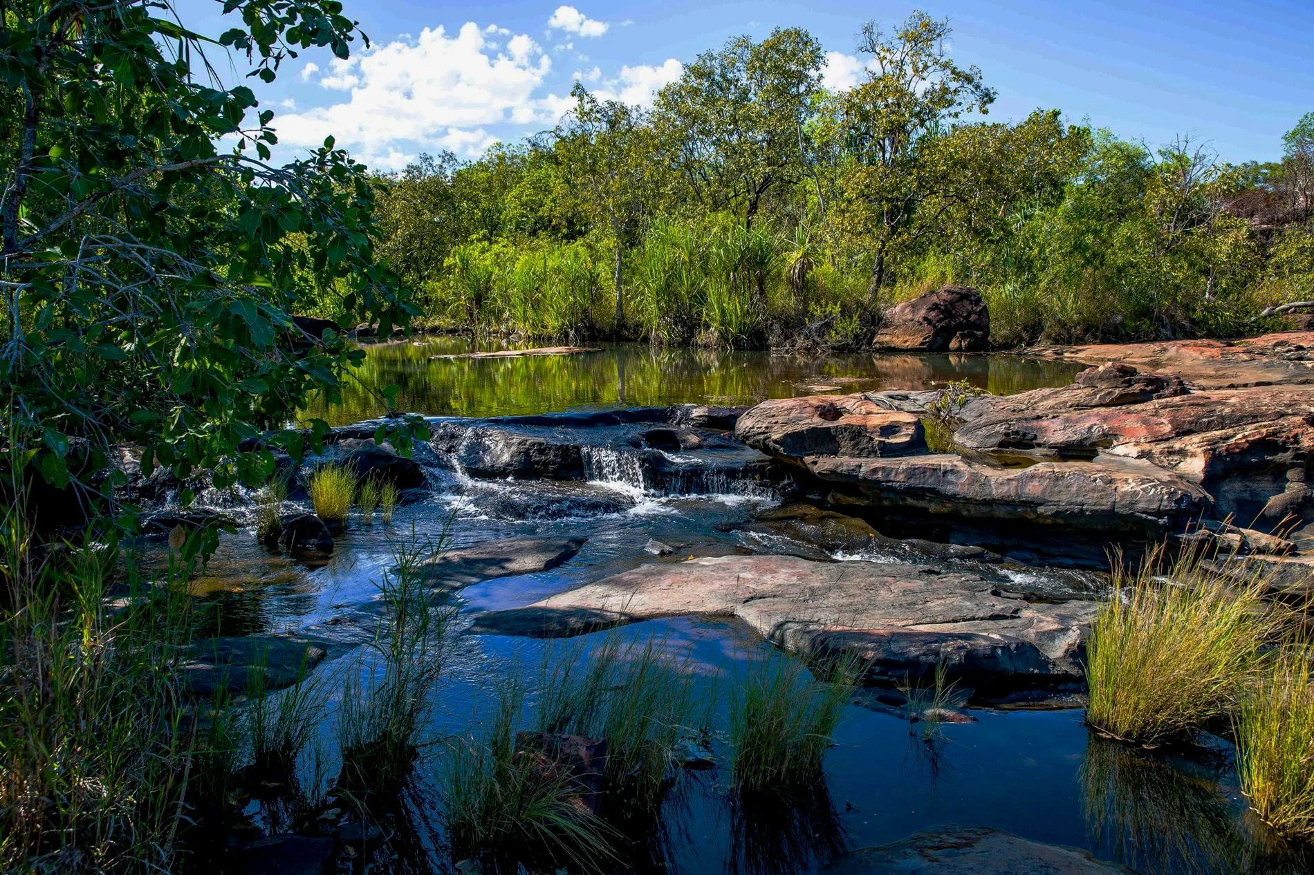 Mitchell Plateau,Kimberley,823,-.JPG