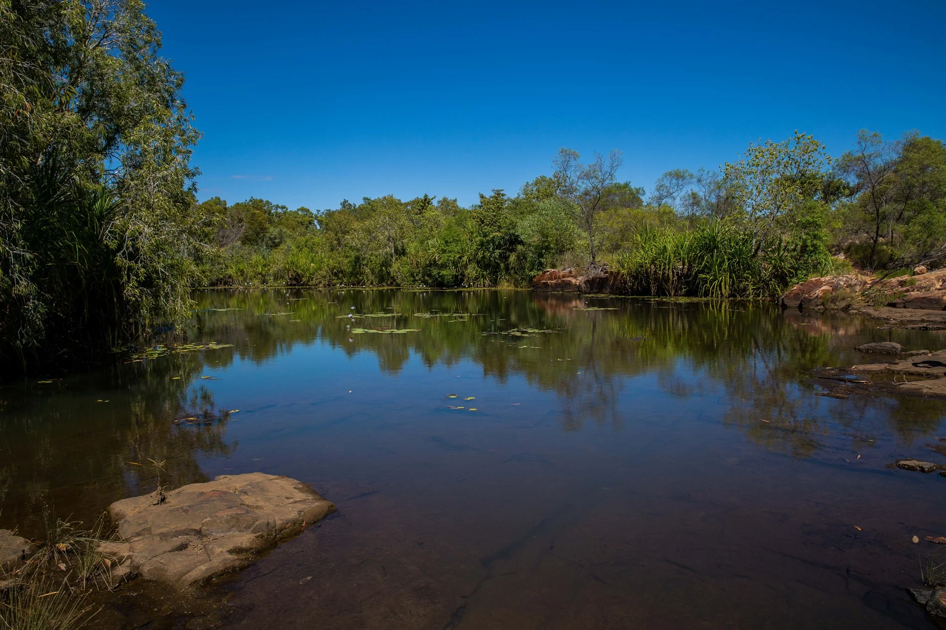Mitchell Plateau,Kimberley,847,-.JPG