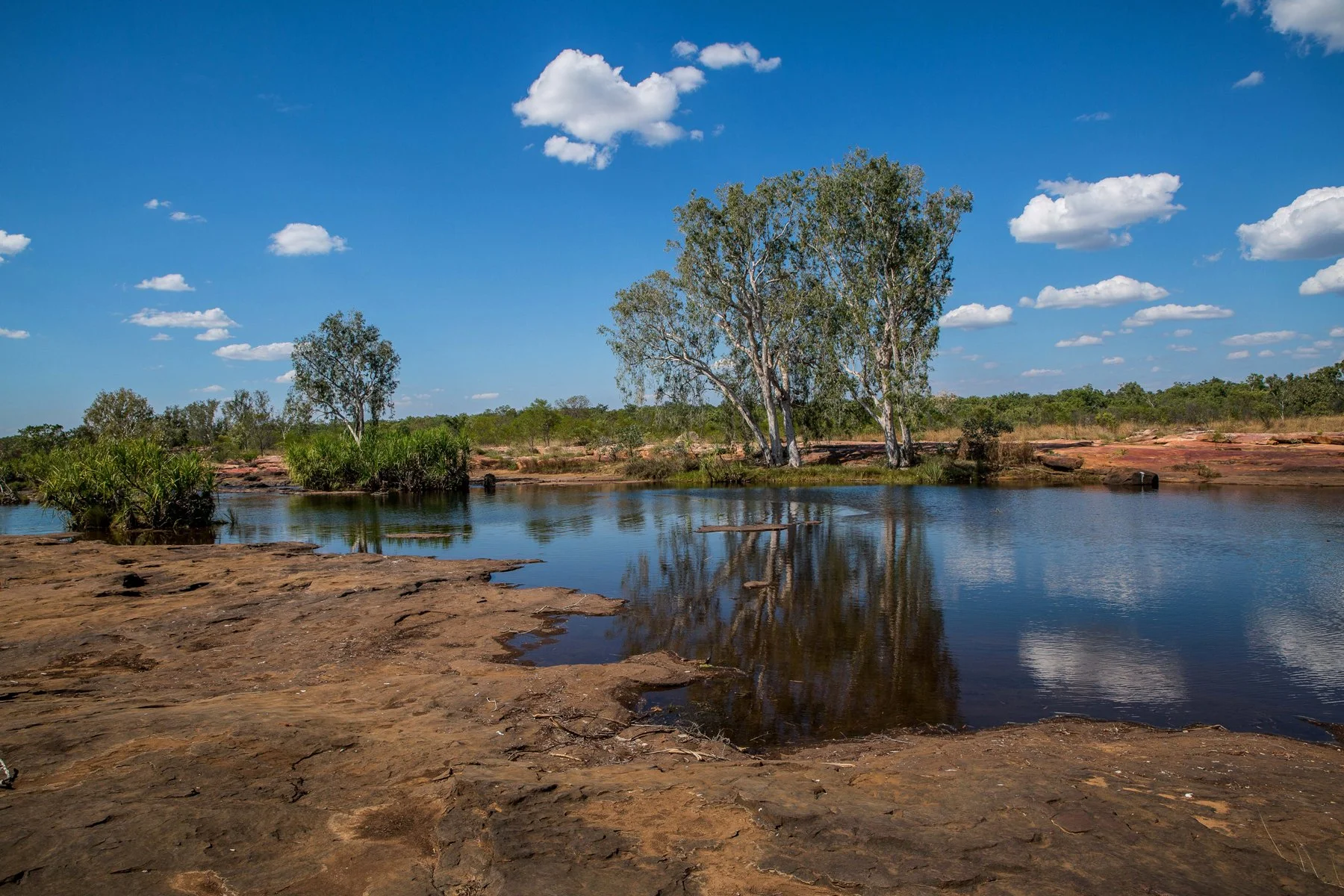 Mitchell Plateau,King Edward River,Kimberley,995,-.JPG