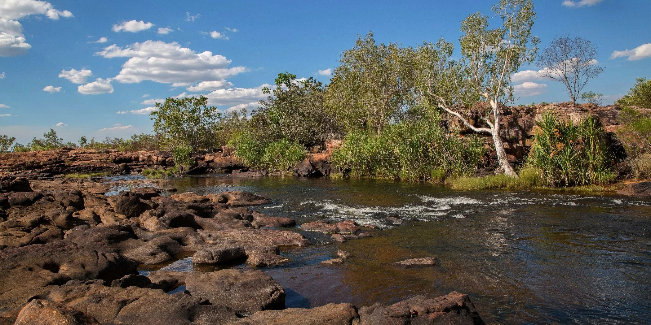 Mitchell Plateau,King Edward River,Kimberley,1010,-.JPG