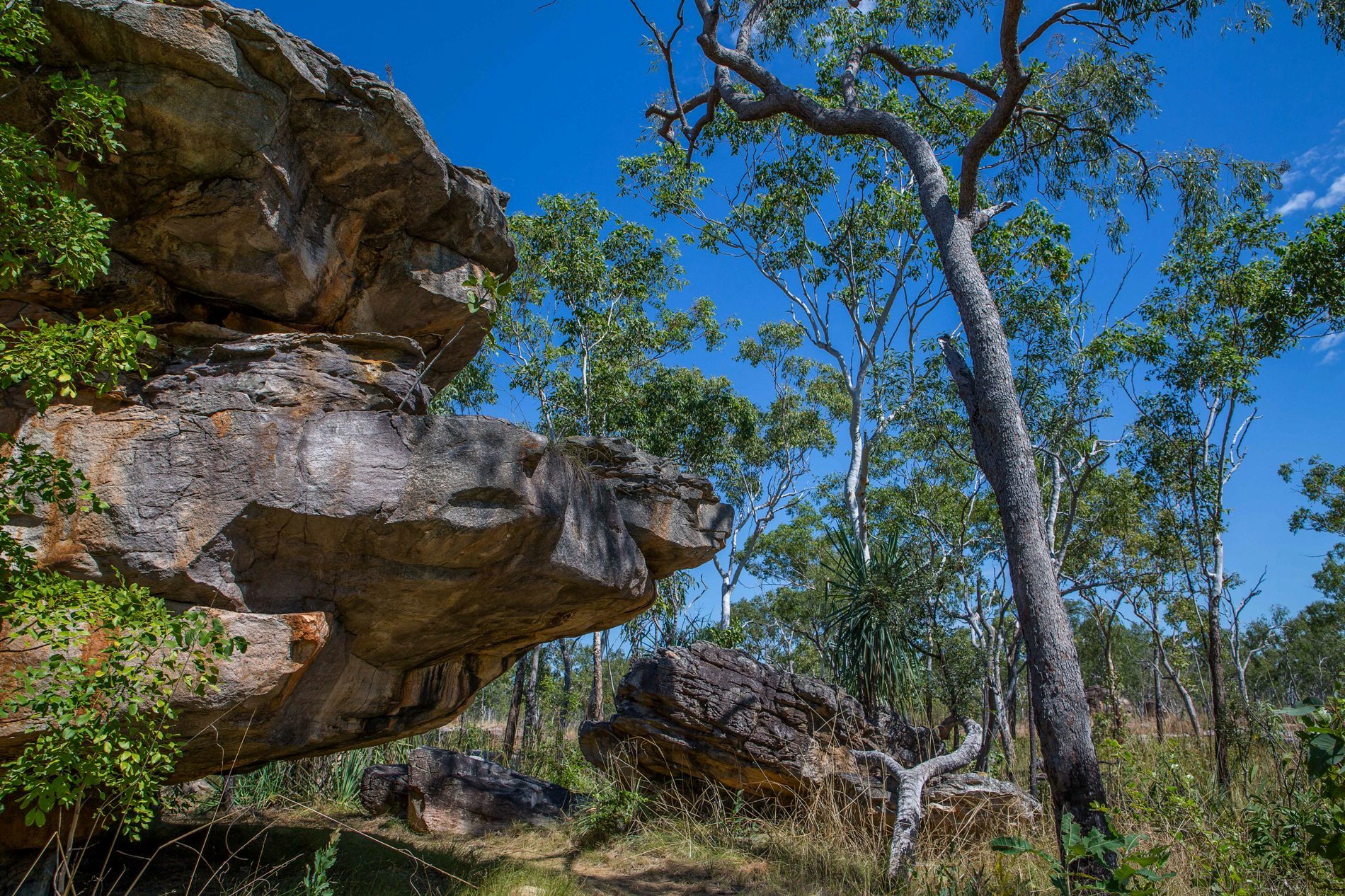 Mitchell Plateau,Numurru,Kimberley,962,-.JPG
