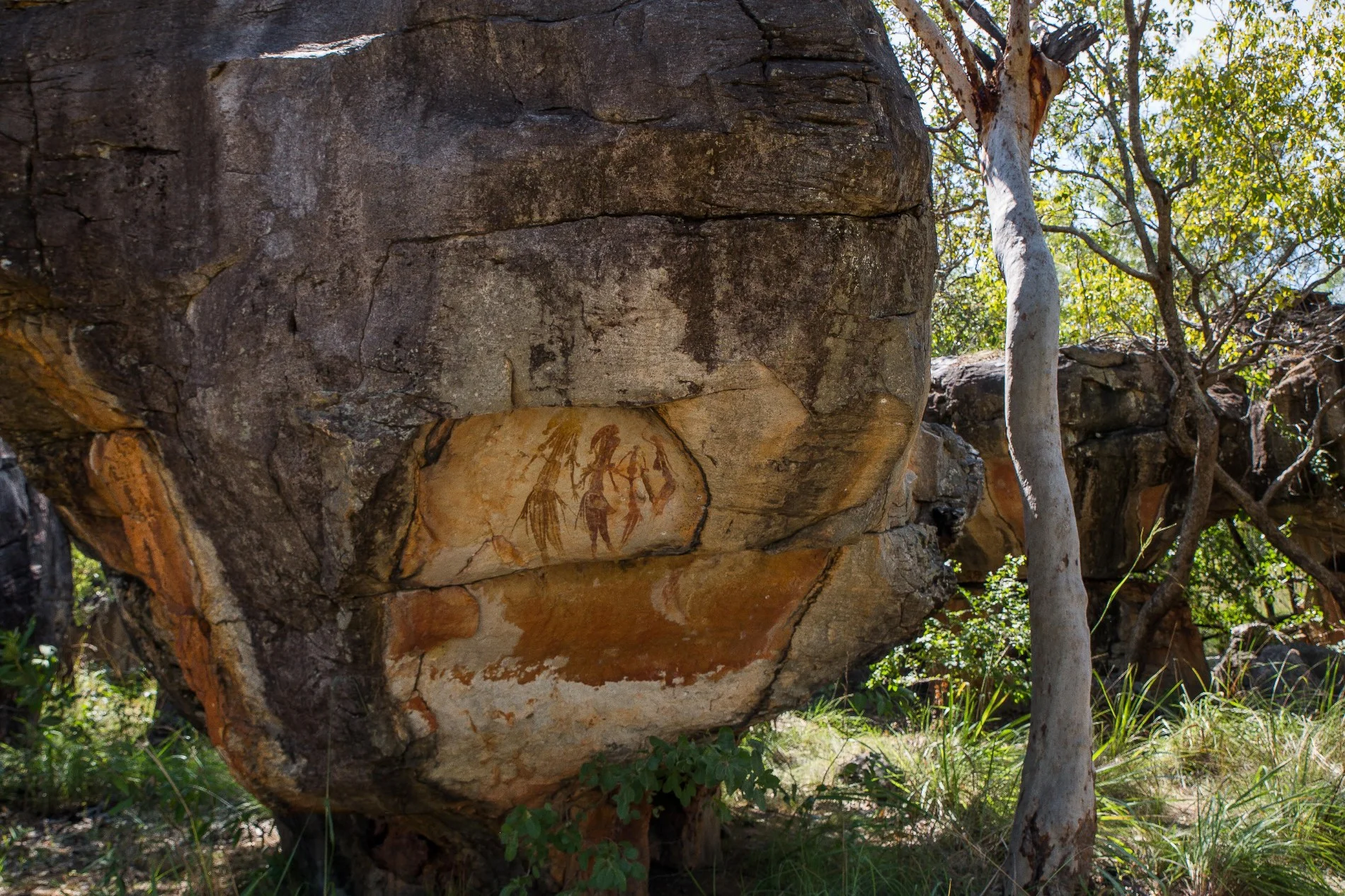 Mitchell Plateau,Numurru,Kimberley,966,-.JPG