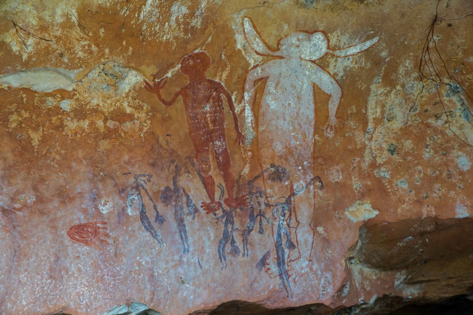 Mitchell Plateau,Numurru,Kimberley,971,-.JPG