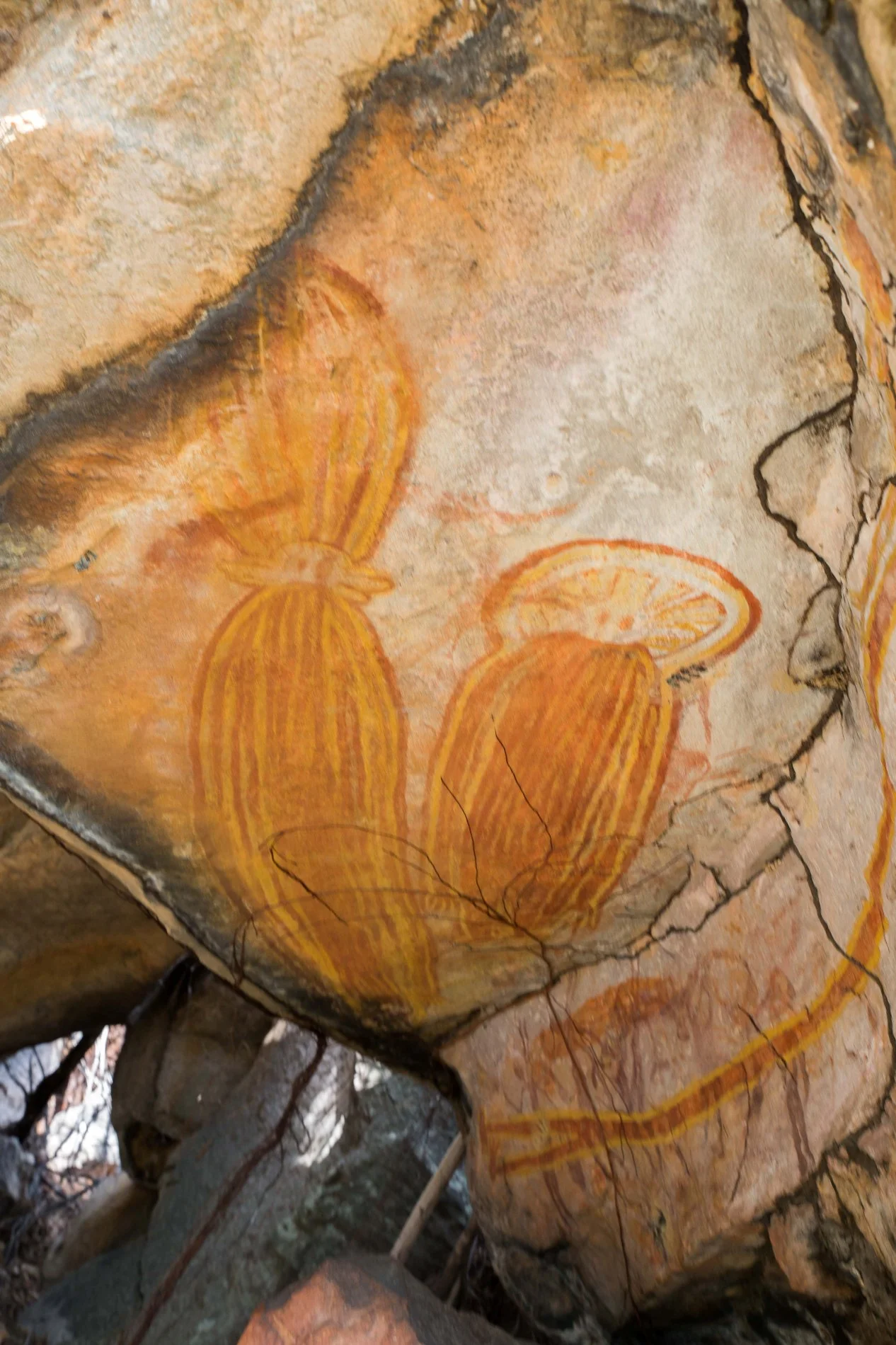 Mitchell Plateau,Numurru,Kimberley,980,-.JPG