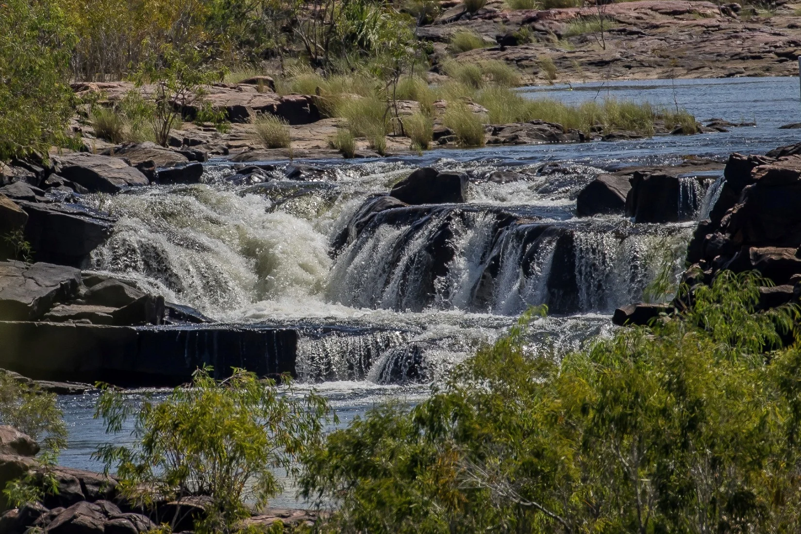 Mitchell River,Kimberley,771,-.JPG
