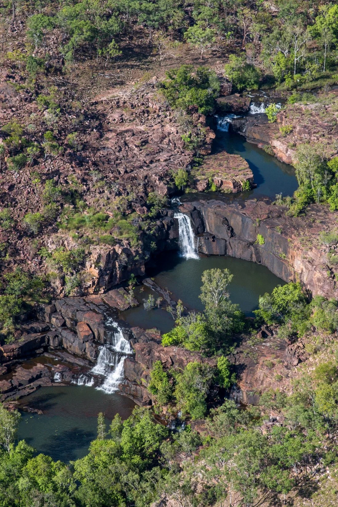 Mitchell River,Kimberley,920,-.JPG