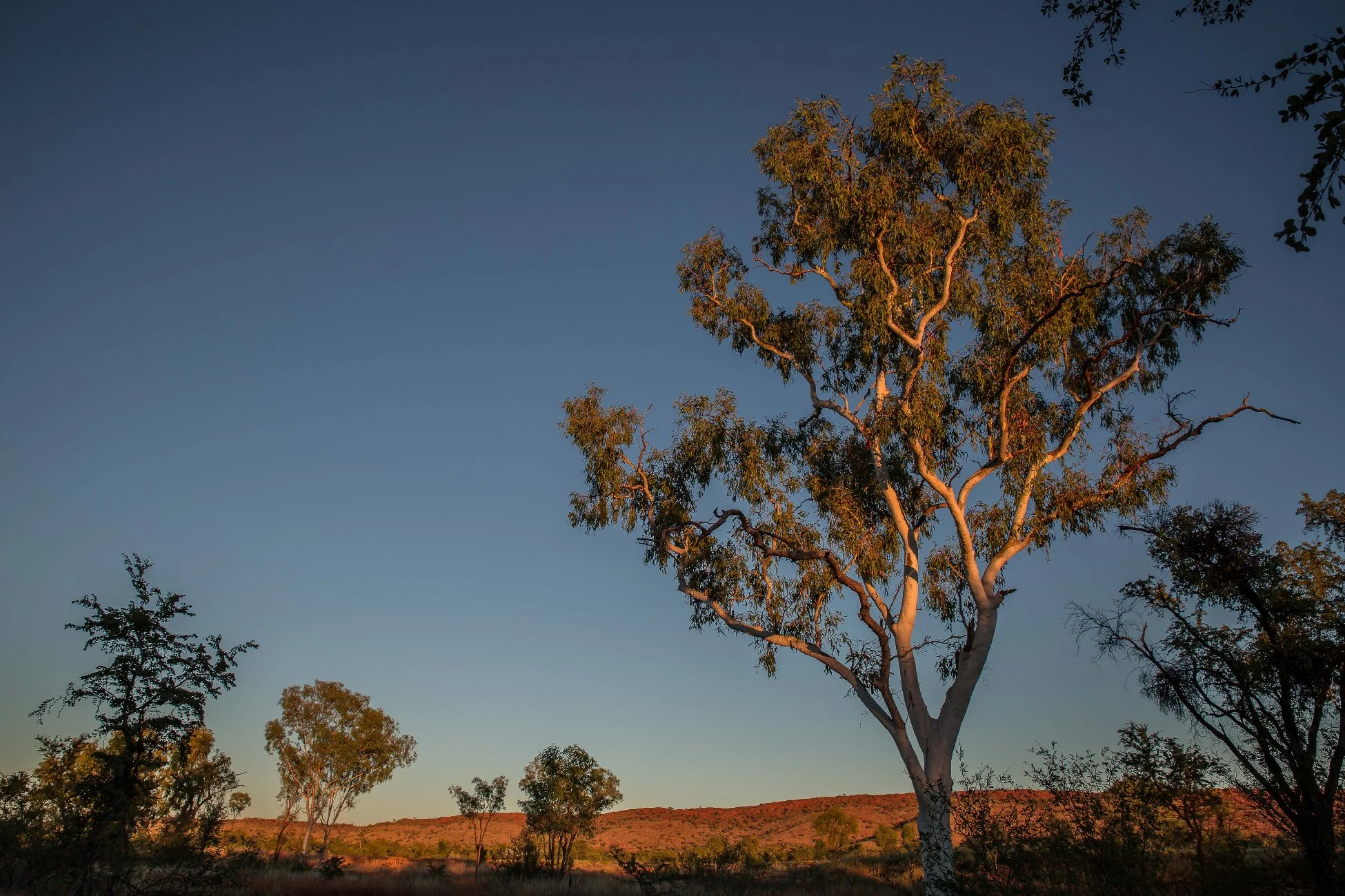 Piccanini Camp,Kimberley,439,-.JPG