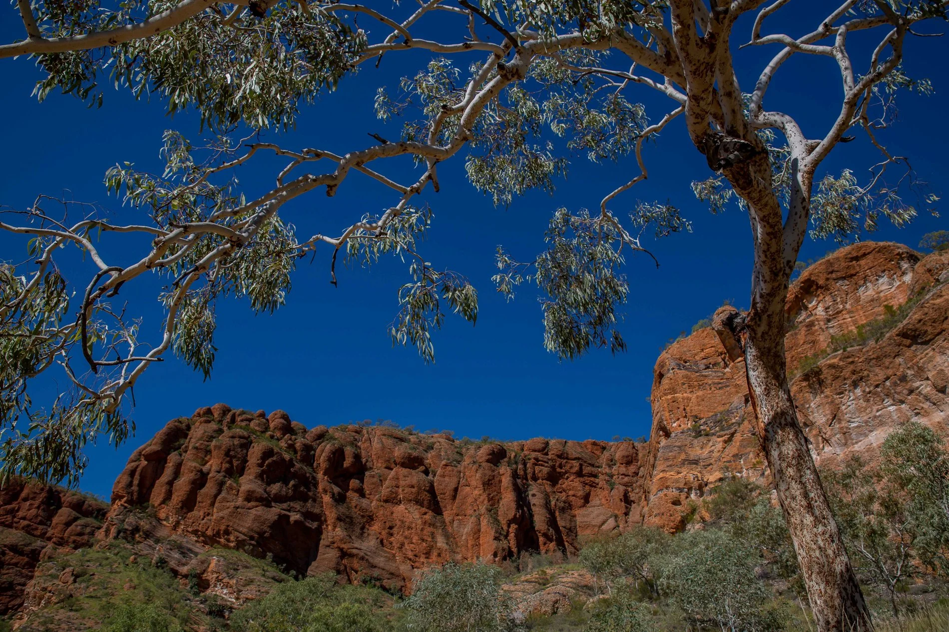 Purnululu Nat Park,Kimberley,368,-.JPG