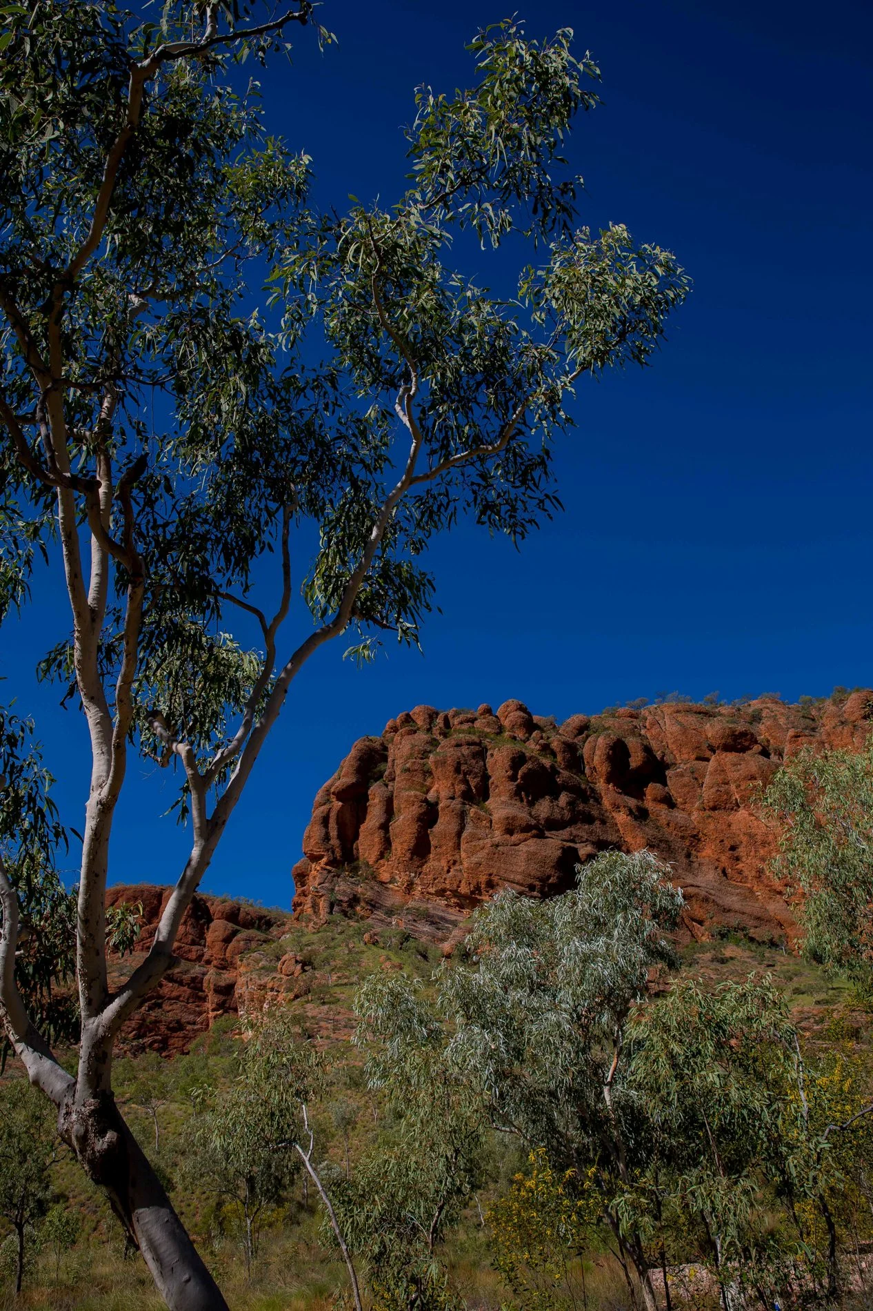 Purnululu Nat Park,Kimberley,369,-.JPG