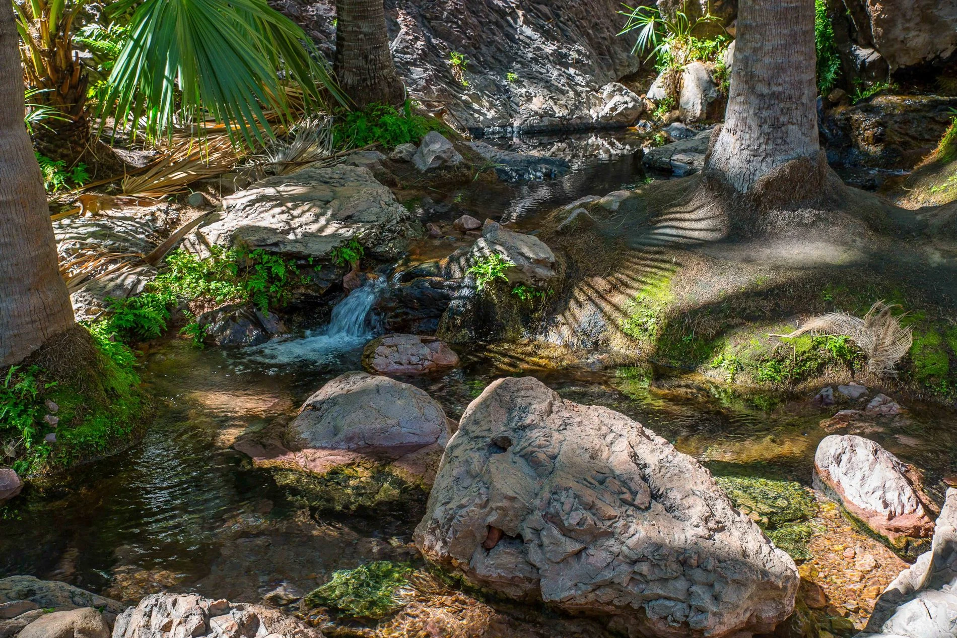 Zebedee Hot Pools,Kimberley,770,-.JPG