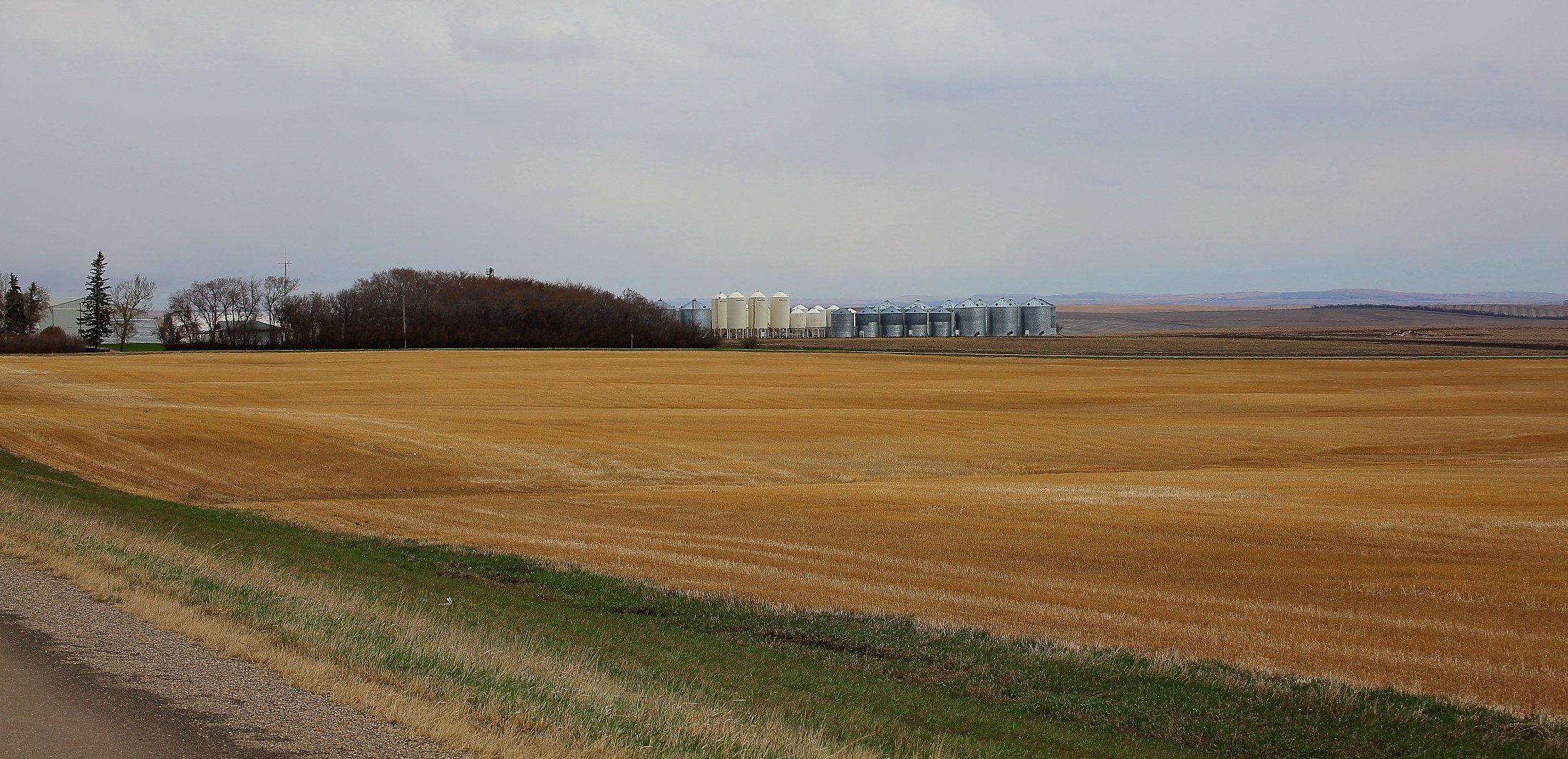 Alberta,661,-.JPG