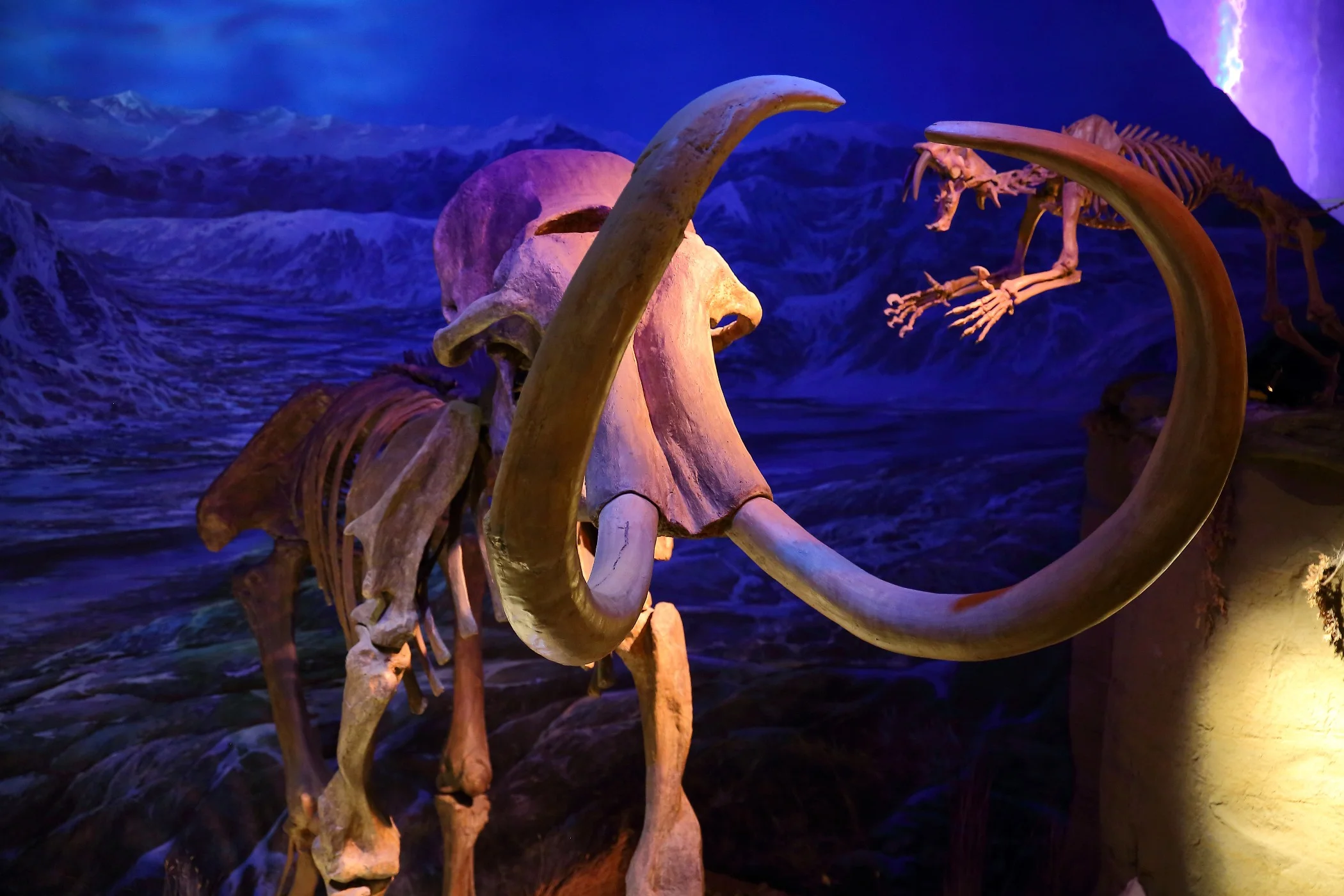 Alberta,Drumheller,Royal Tyrrell Museum,020,-.JPG