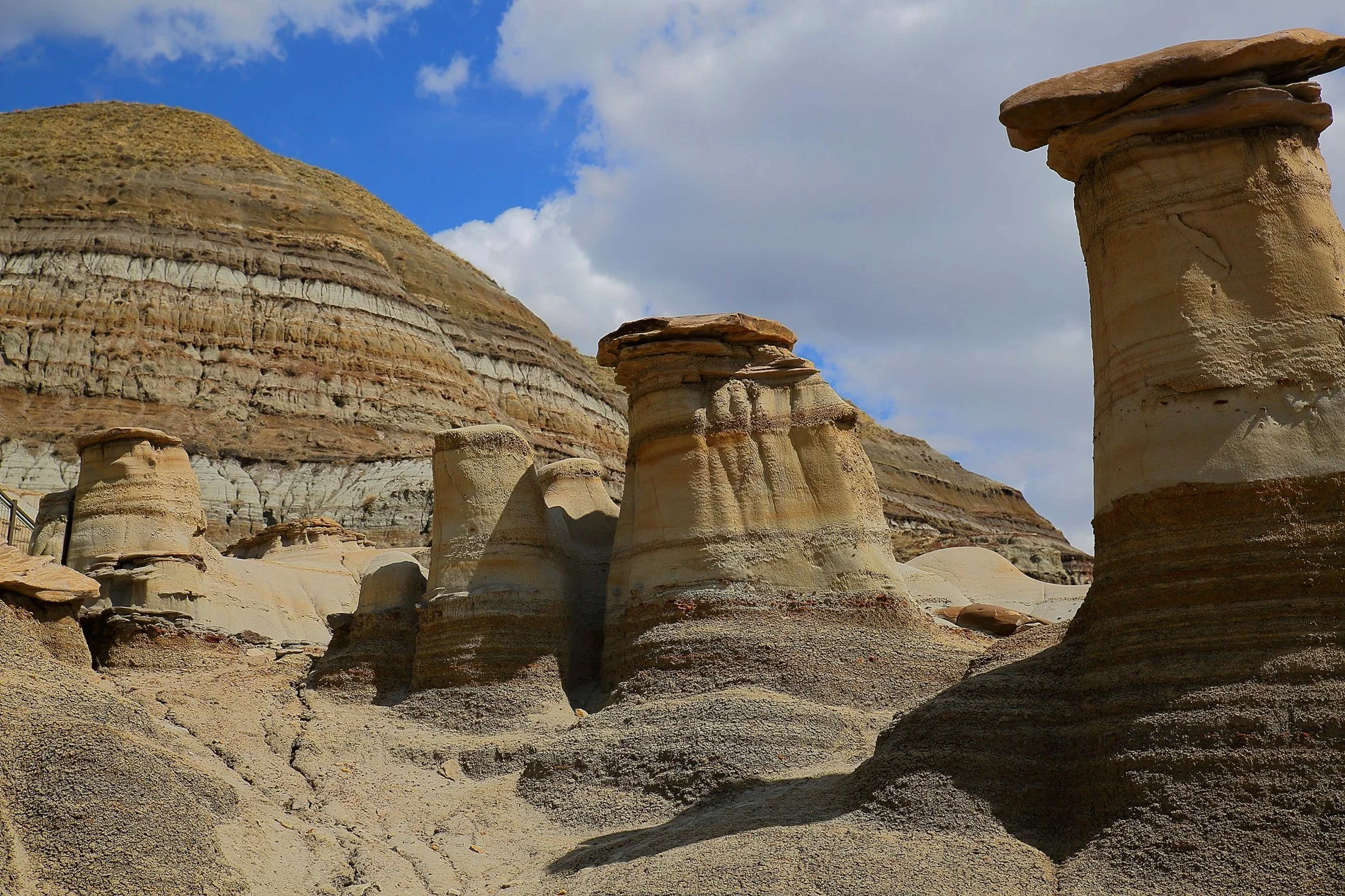 Alberta,Hoodoos,032,-.JPG