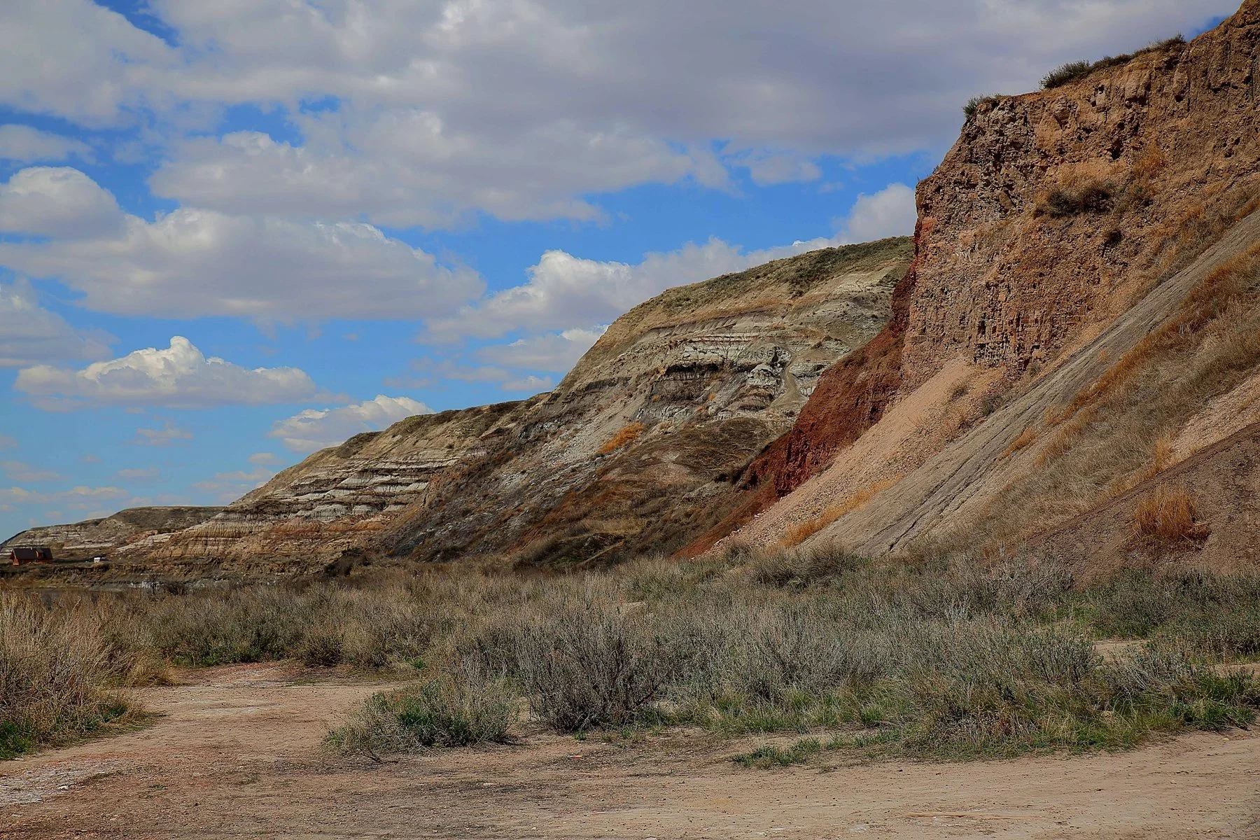 Alberta,Red Deer River,029,-.JPG
