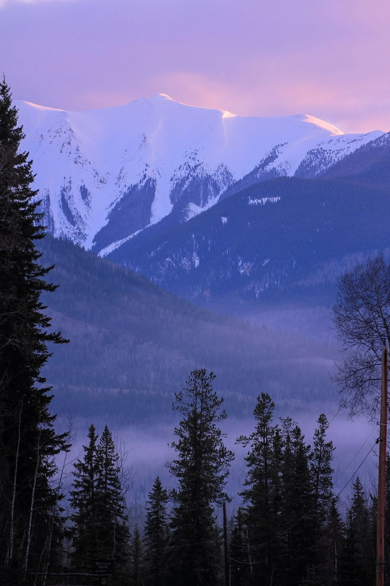 Blaeberry,068,-.JPG