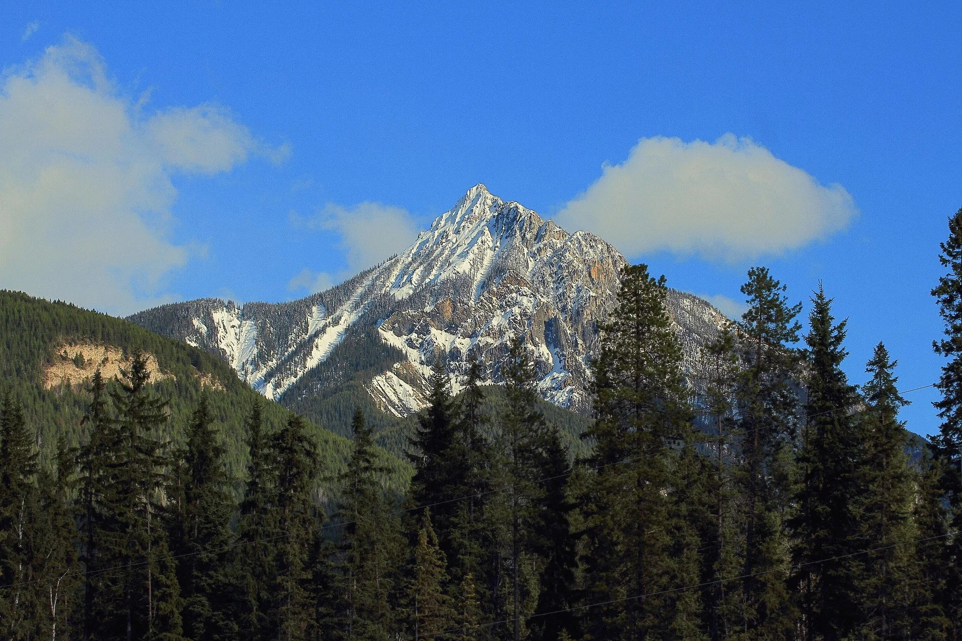 Blaeberry,157,-.JPG
