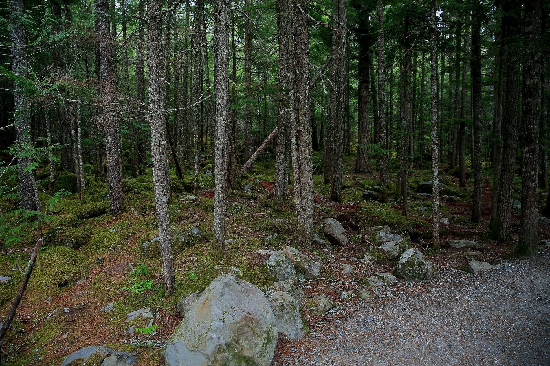 Brandywynne Falls,132,-.JPG