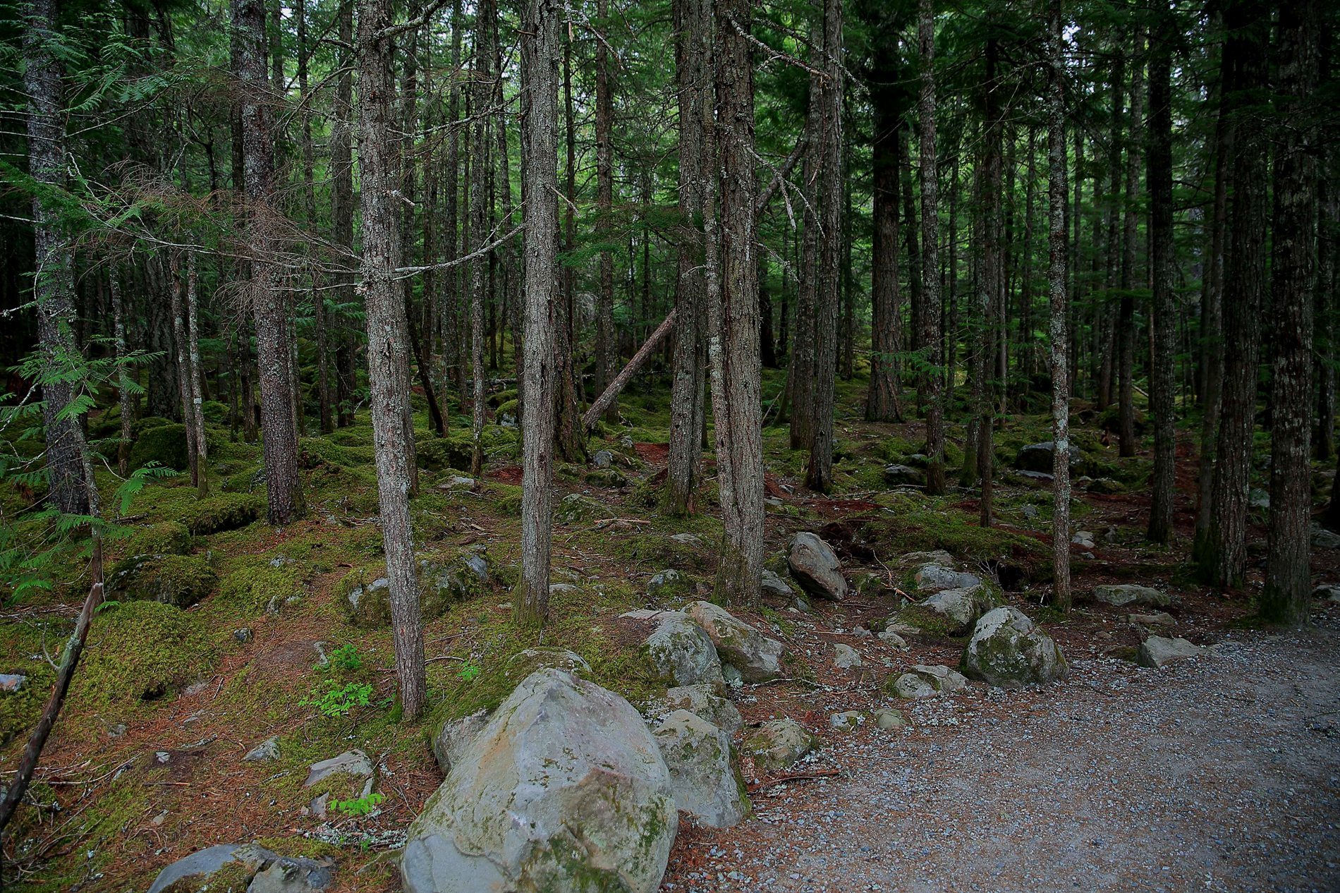 Brandywynne Falls,132,-.JPG