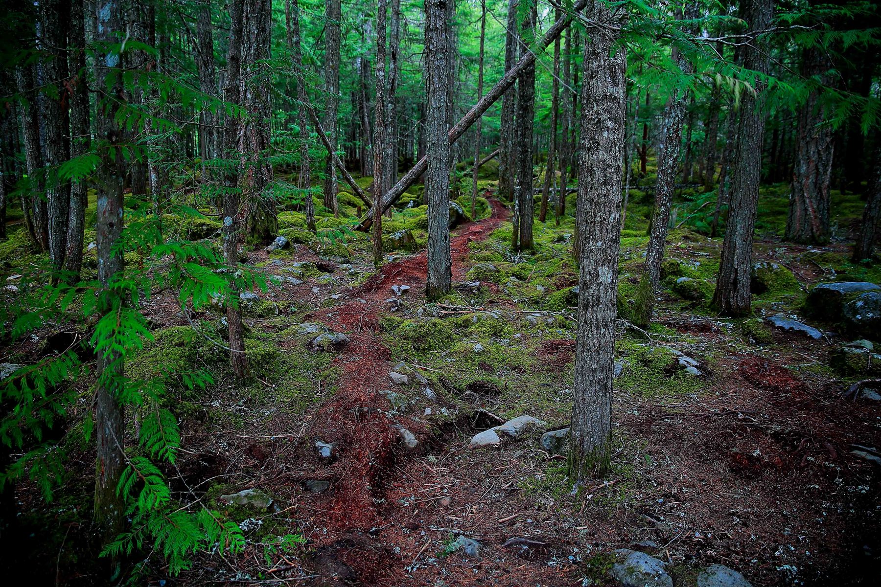 Brandywynne Falls,133,-.JPG