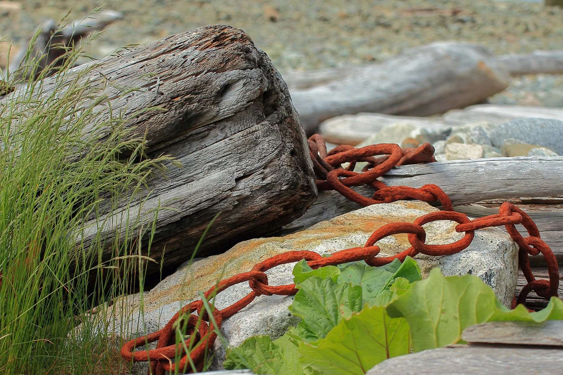 Oliver's Landing,201,-.JPG