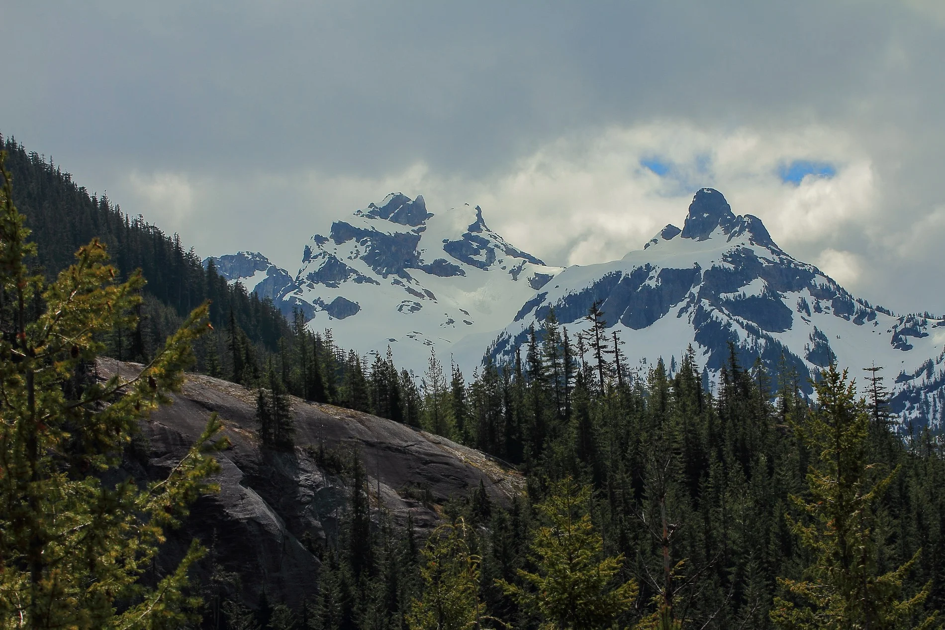 Sea to Sky Gondola,091,-.JPG