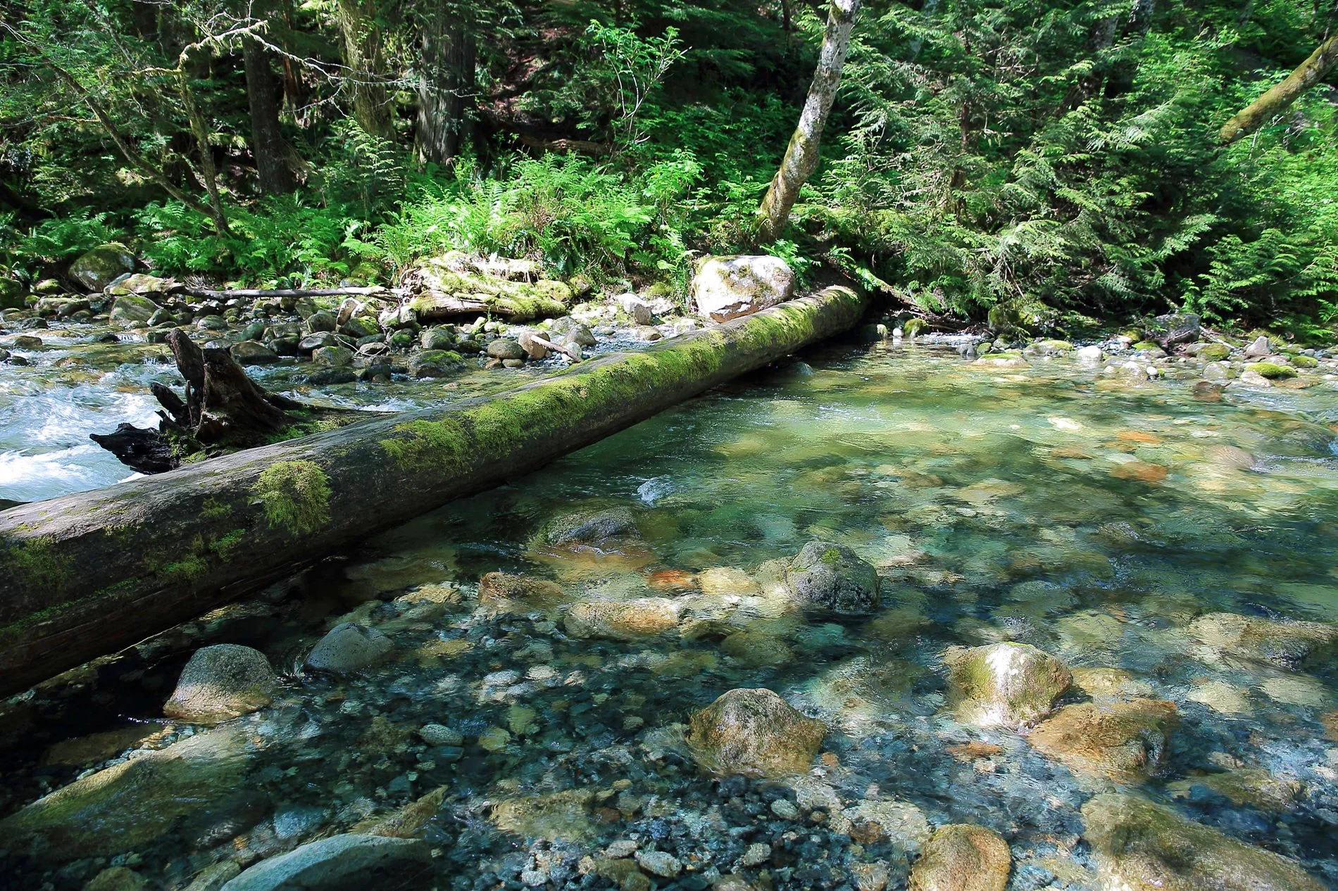 Shannon Falls,001,-.JPG