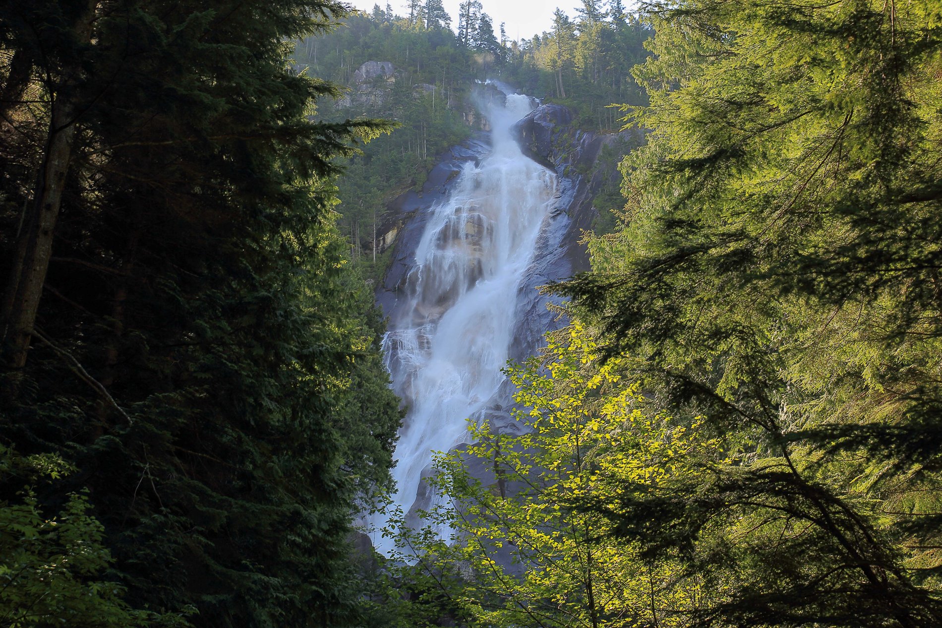 Shannon Falls,231,-.JPG
