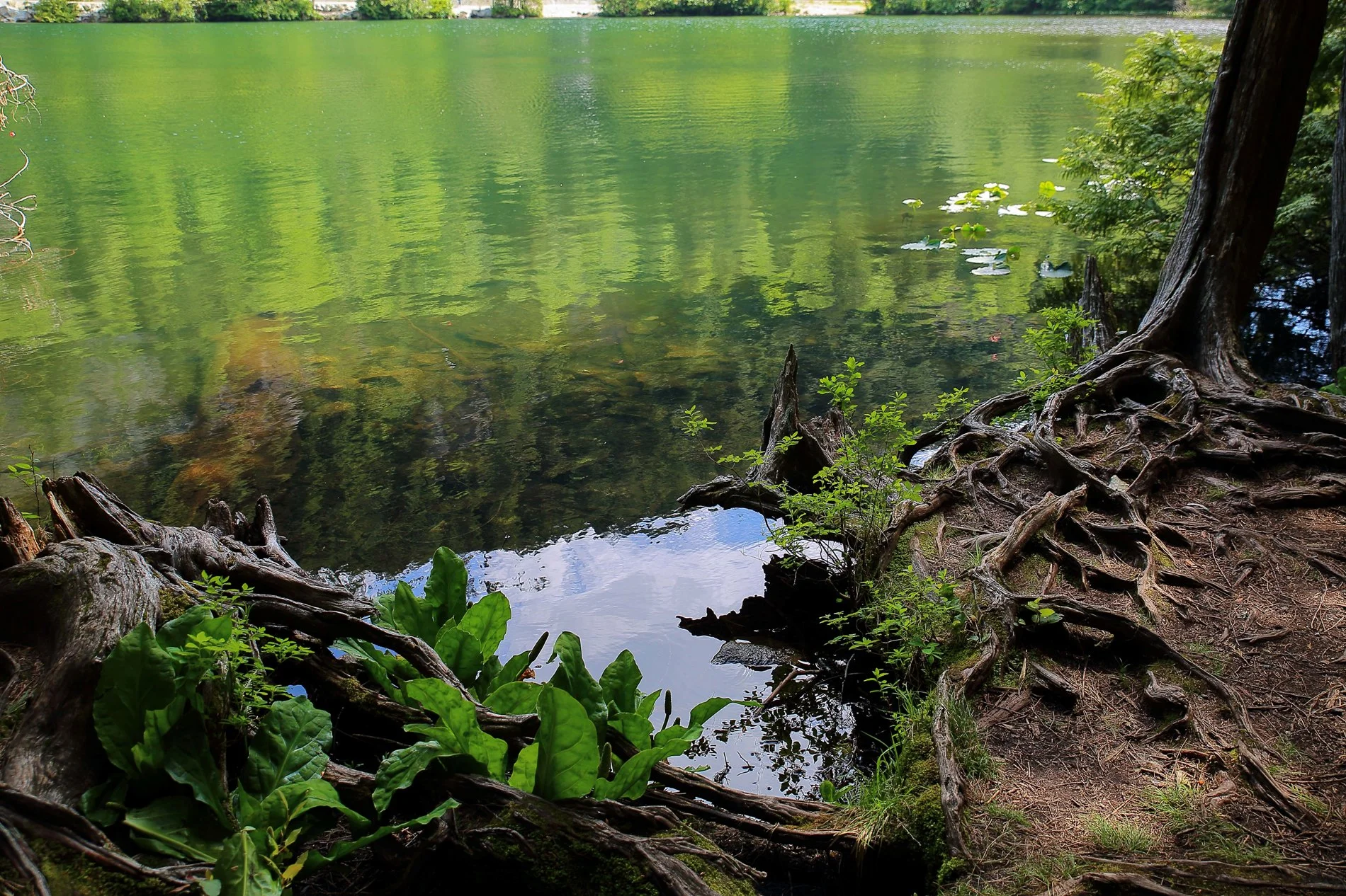 Squamish Lake,045,-.JPG