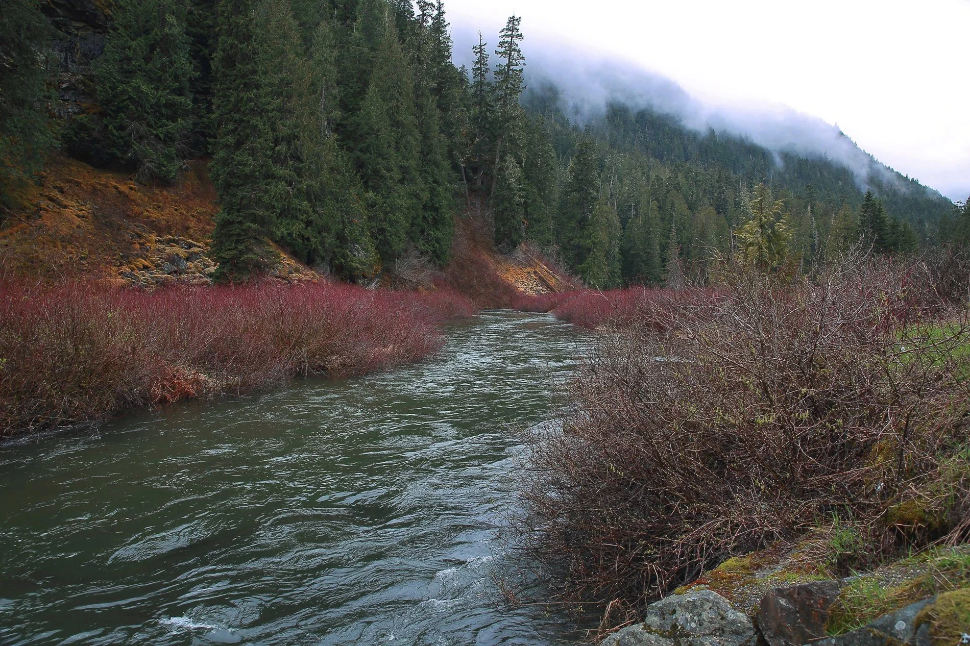 Canadian Rockies,099,-.JPG