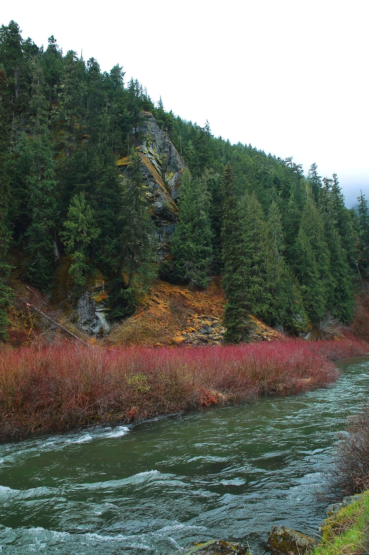 Canadian Rockies,101,-.JPG
