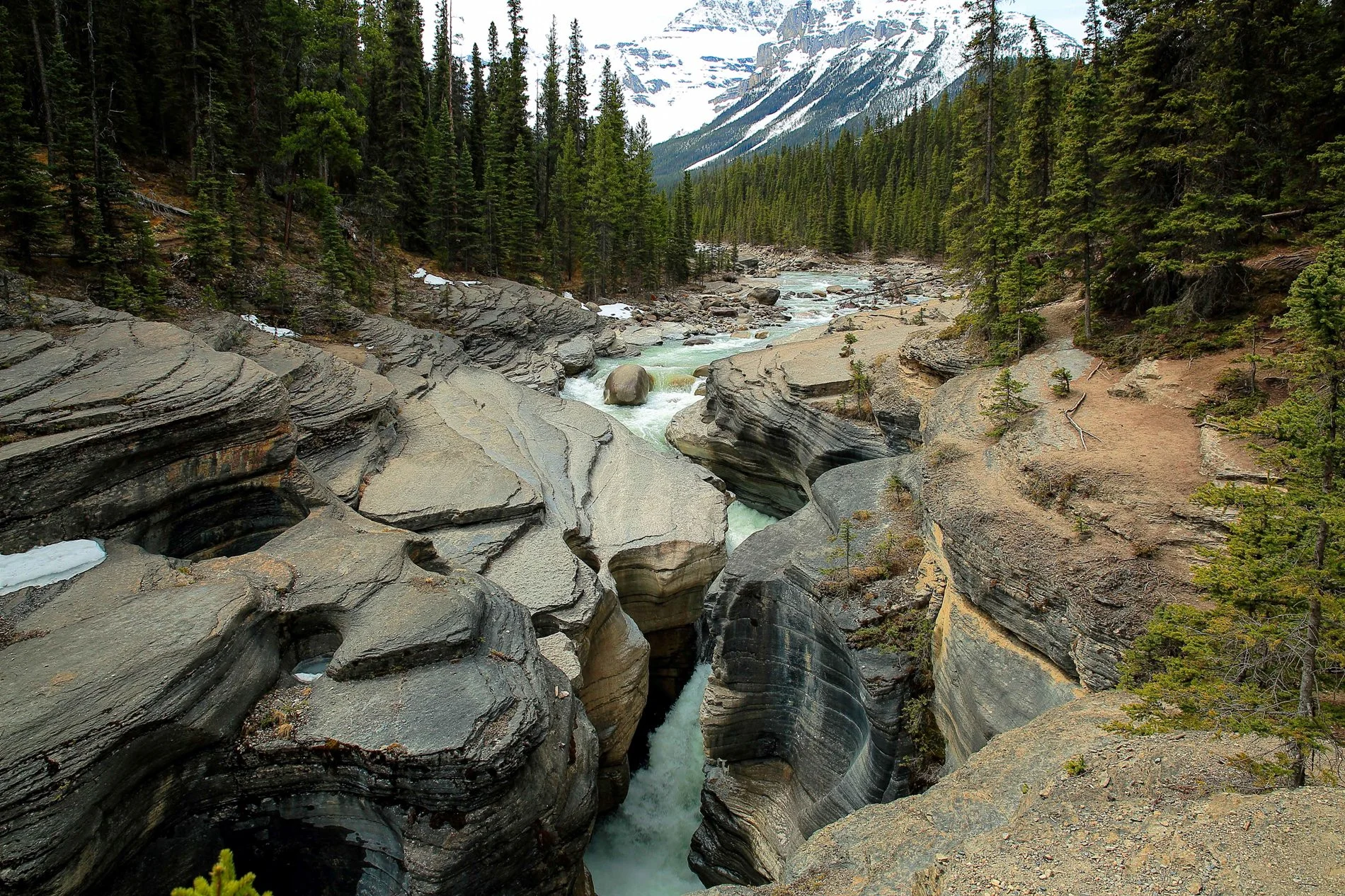 Canadian Rockies,263,-.JPG