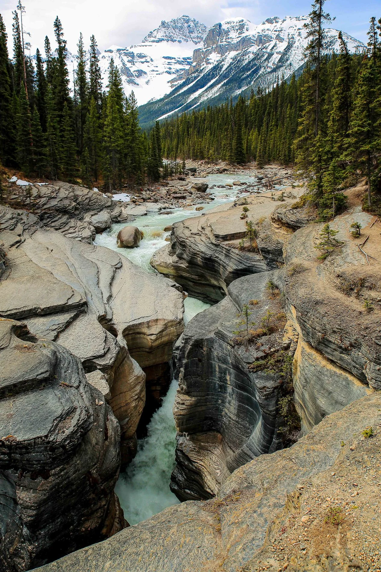 Canadian Rockies,264,-.JPG