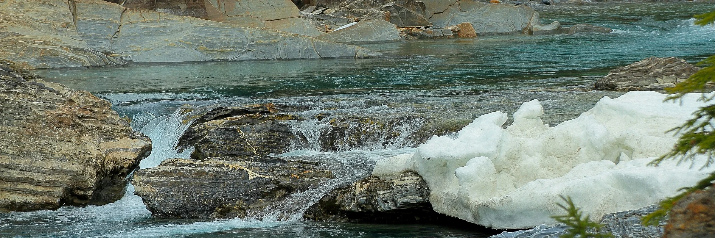 Canadian Rockies,-275.JPG