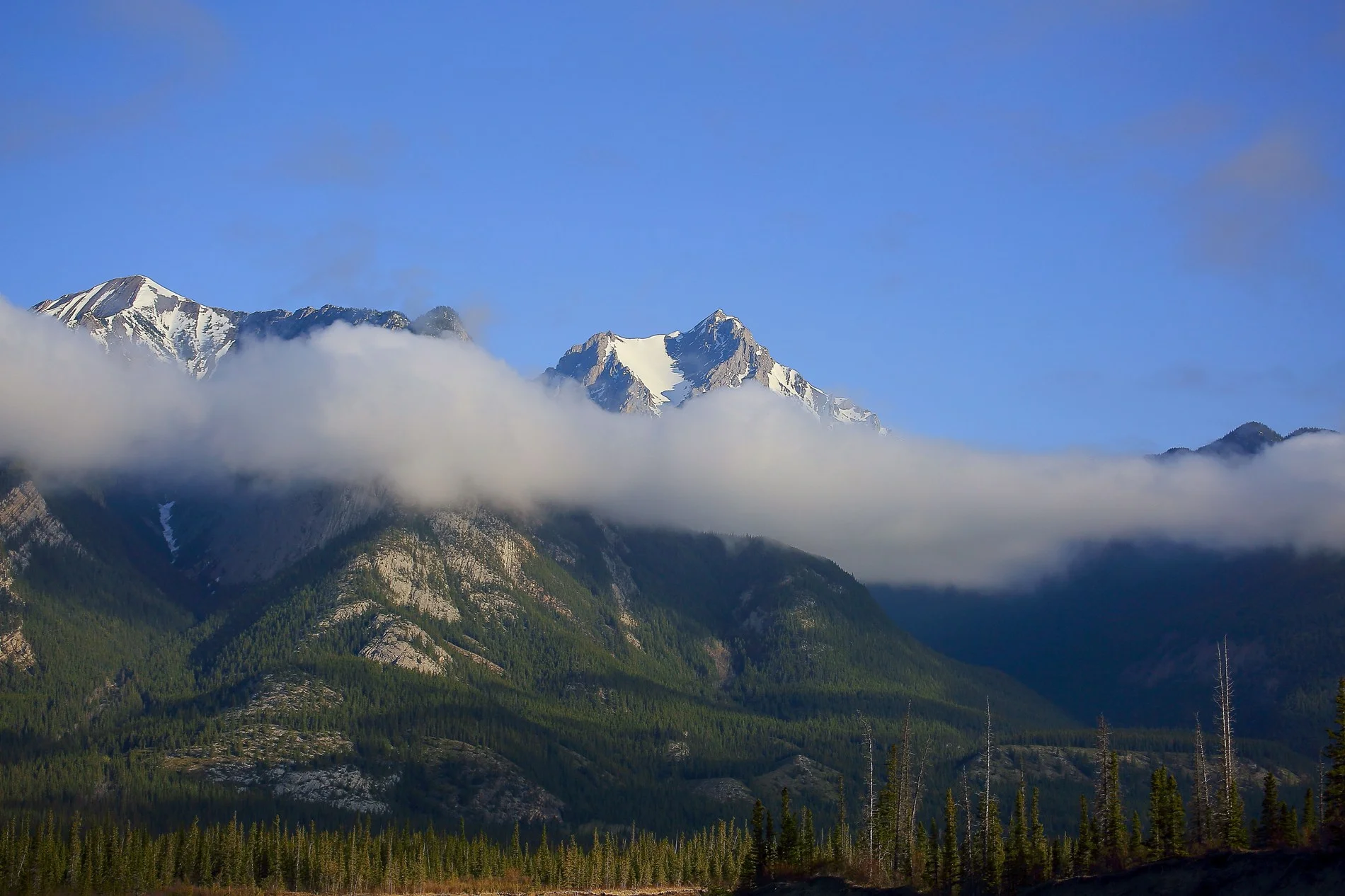 Canadian Rockies,461,-.JPG